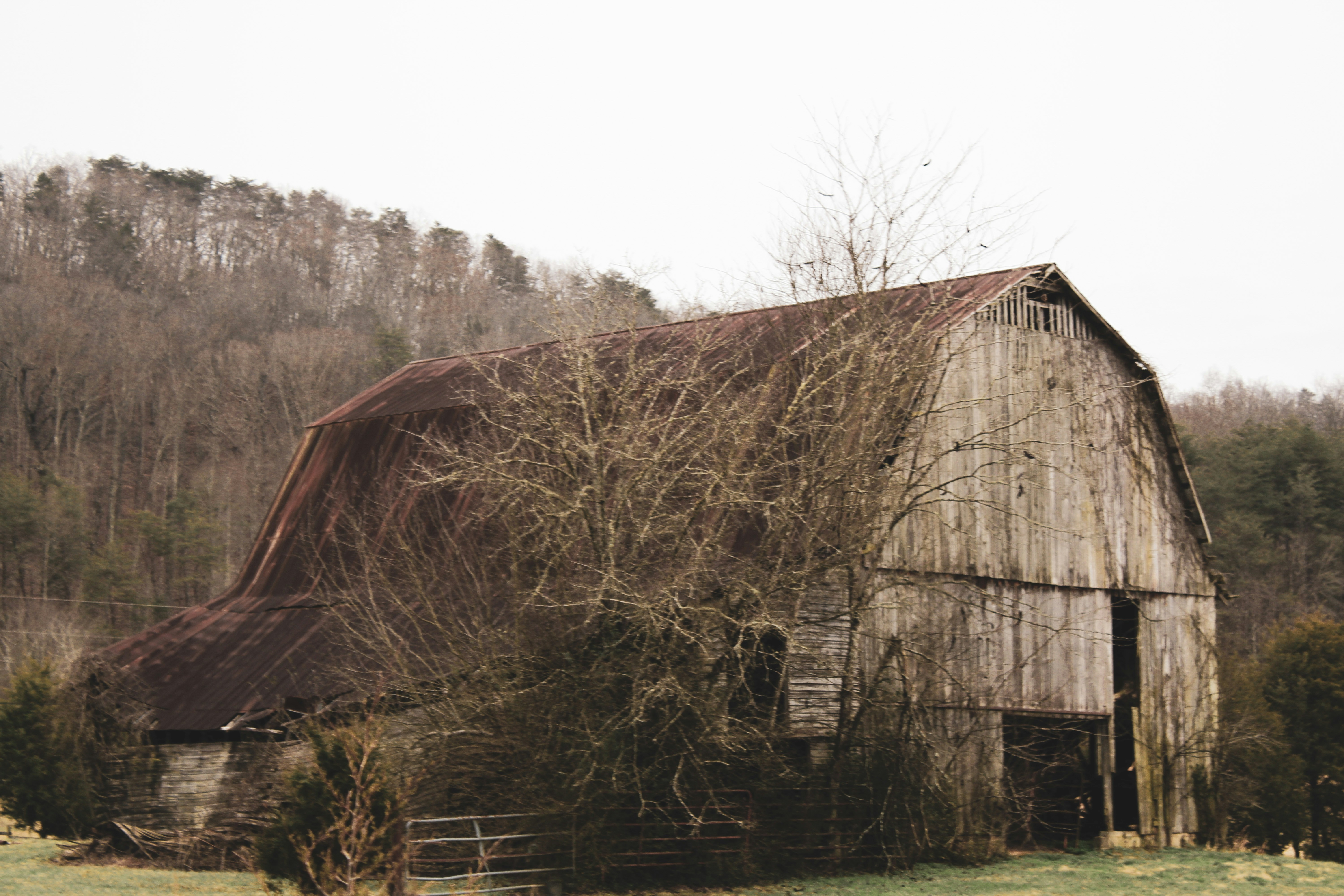 Photo by nikiclark
