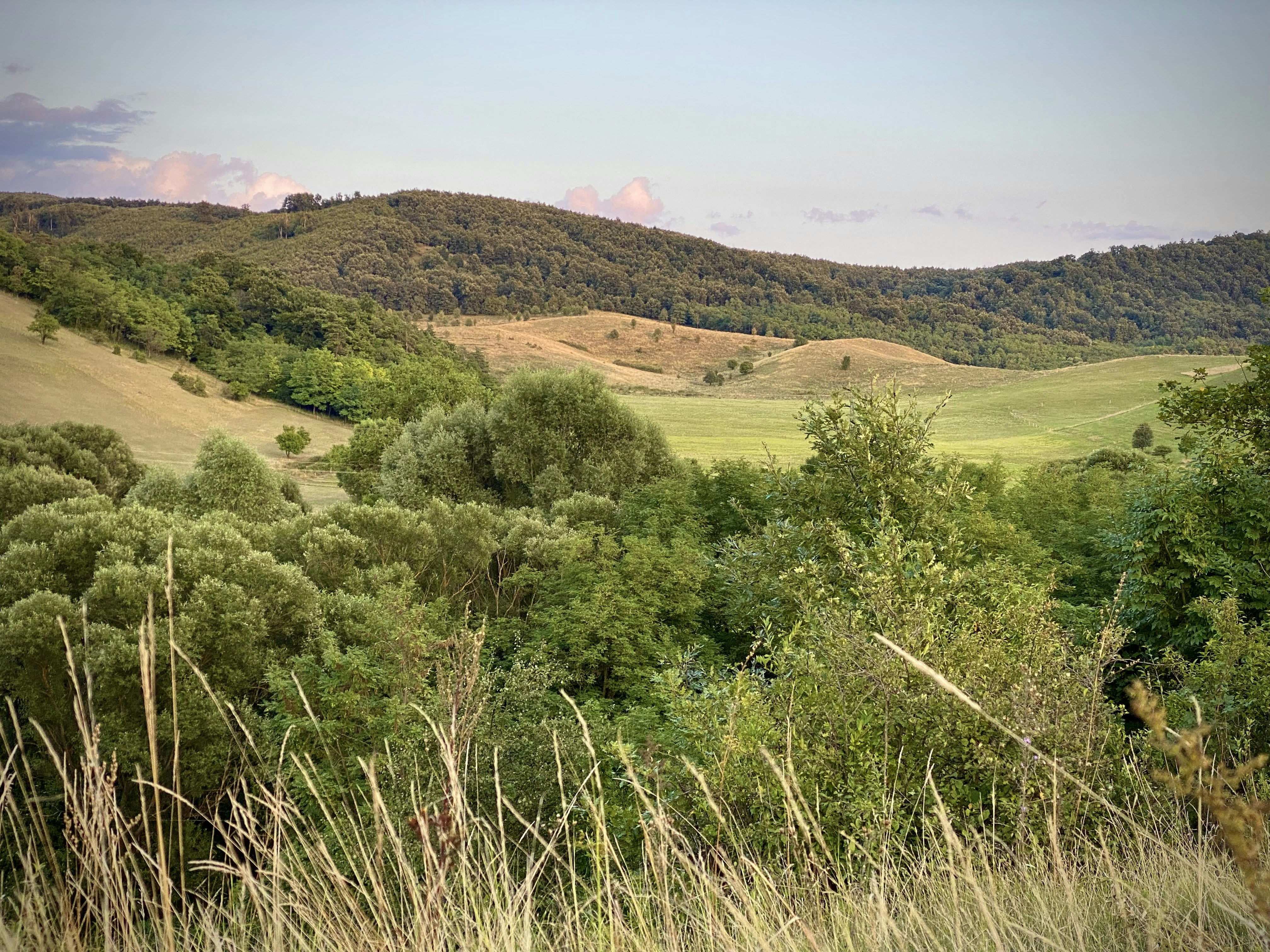 Photo by oxygenvisuals