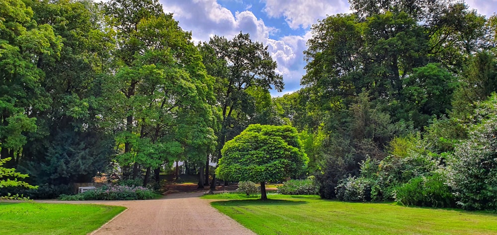 a dirt road in the middle of a lush green park