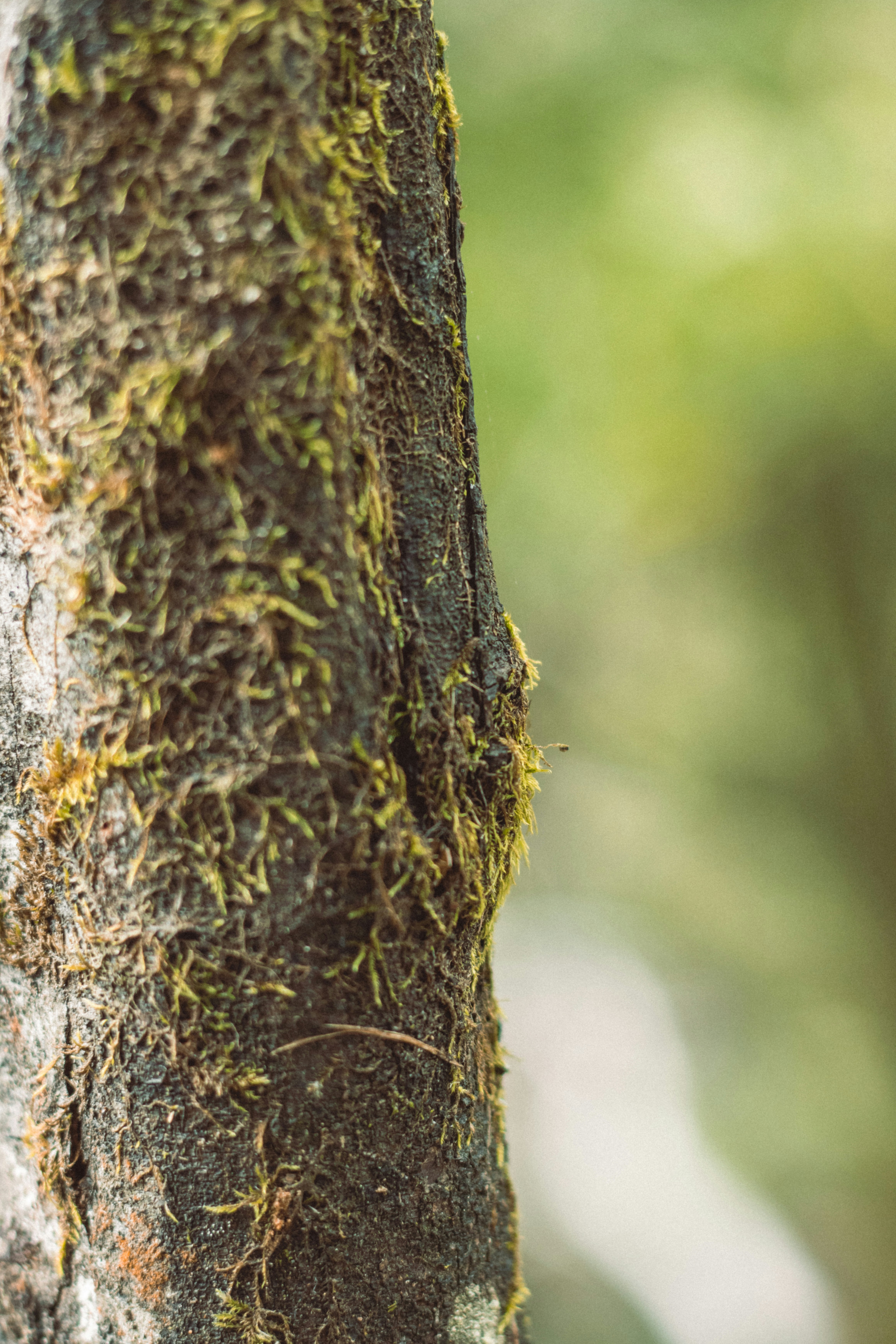 Photo by mansfieldcallum