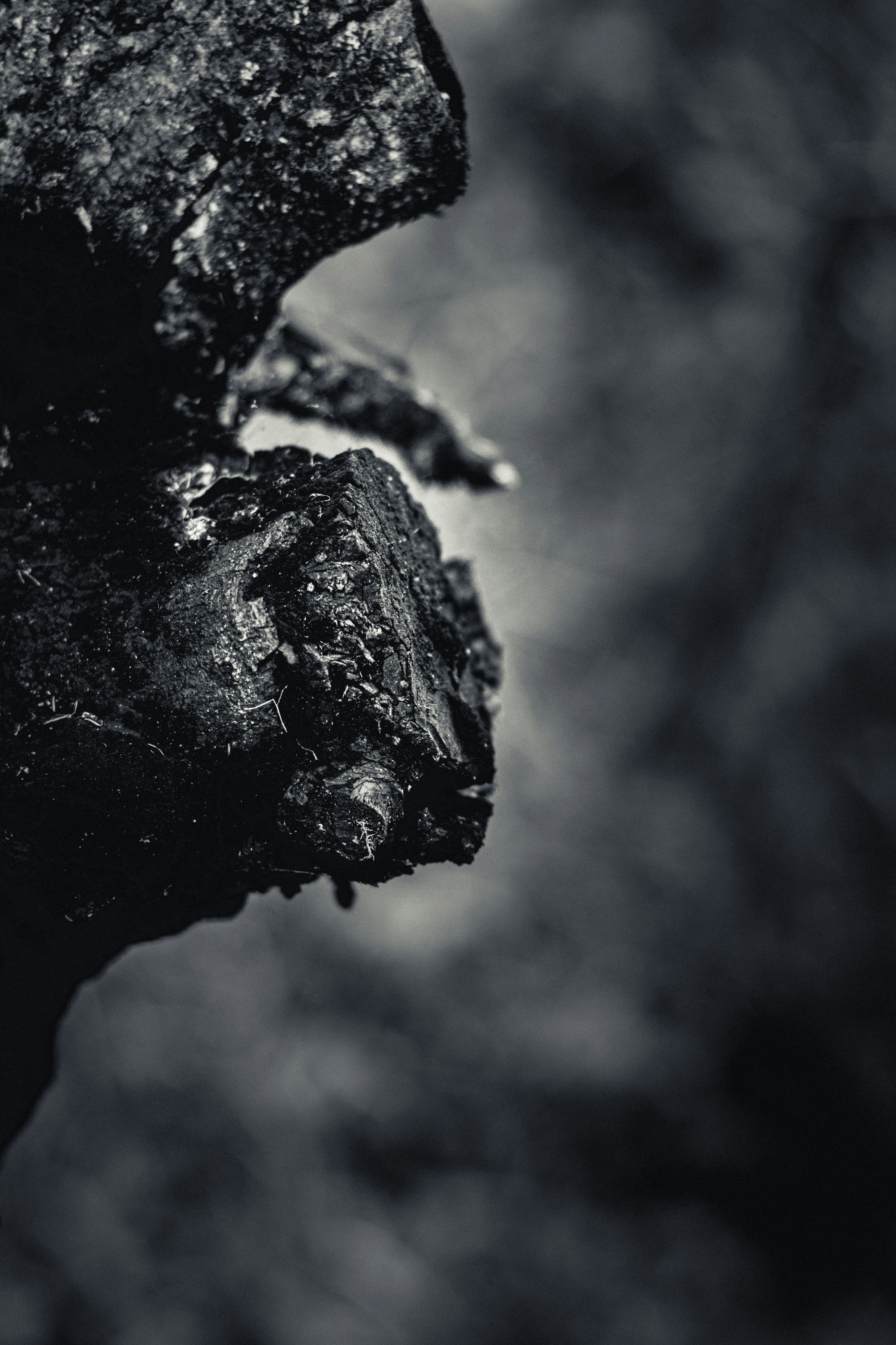 Photo by mansfieldcallum