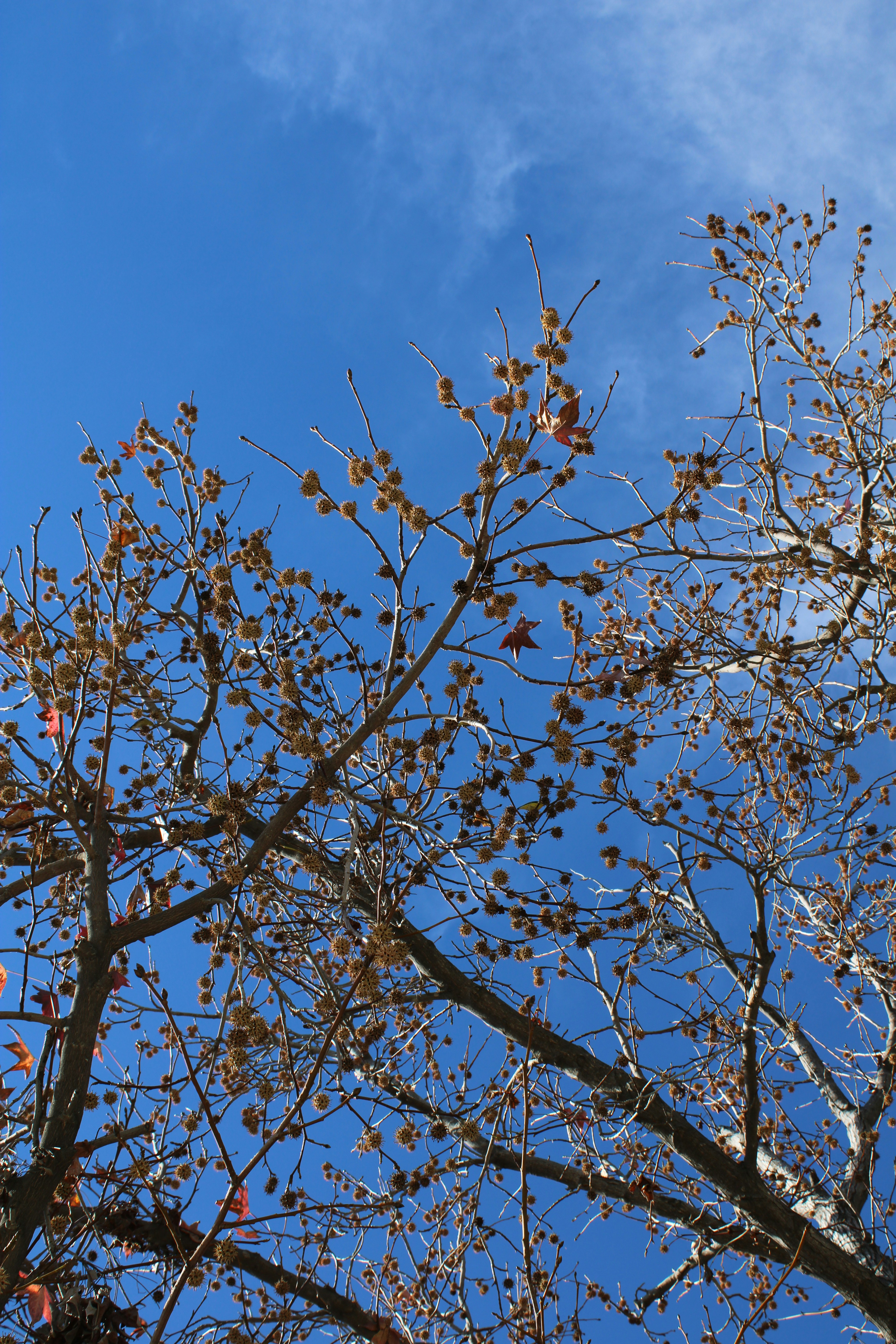 Photo by melaniepope7