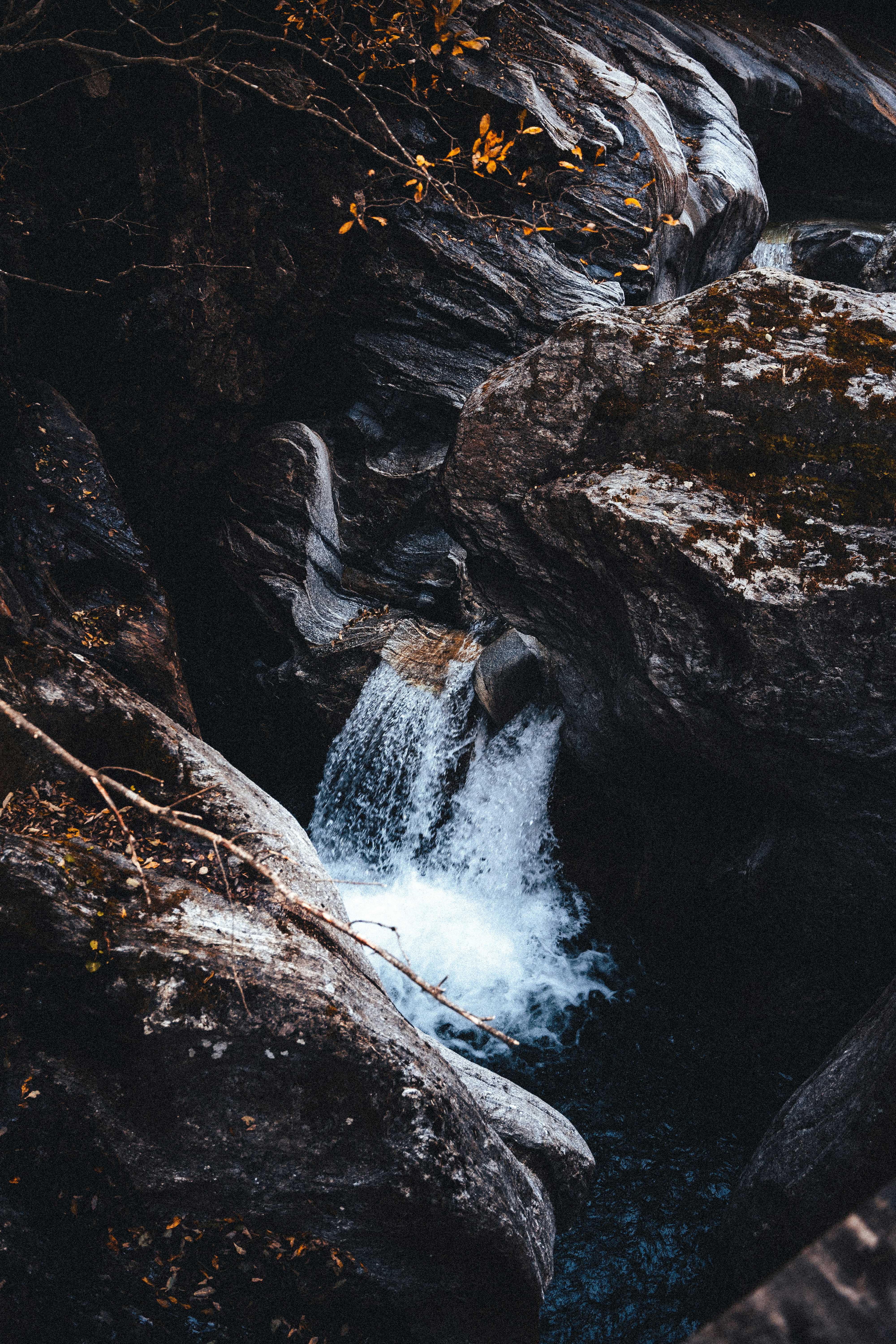 Photo by mauricesahl