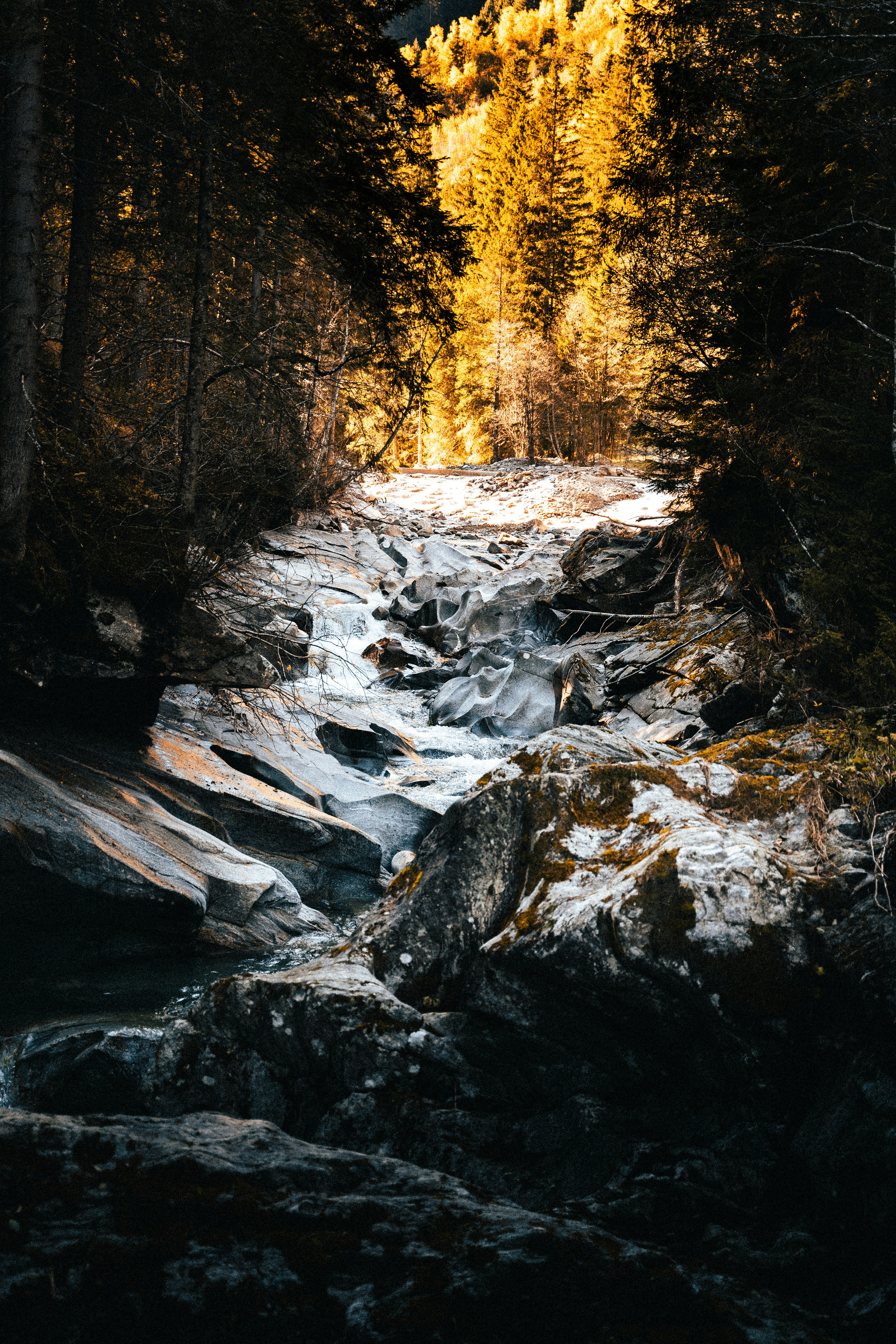 Photo by mauricesahl