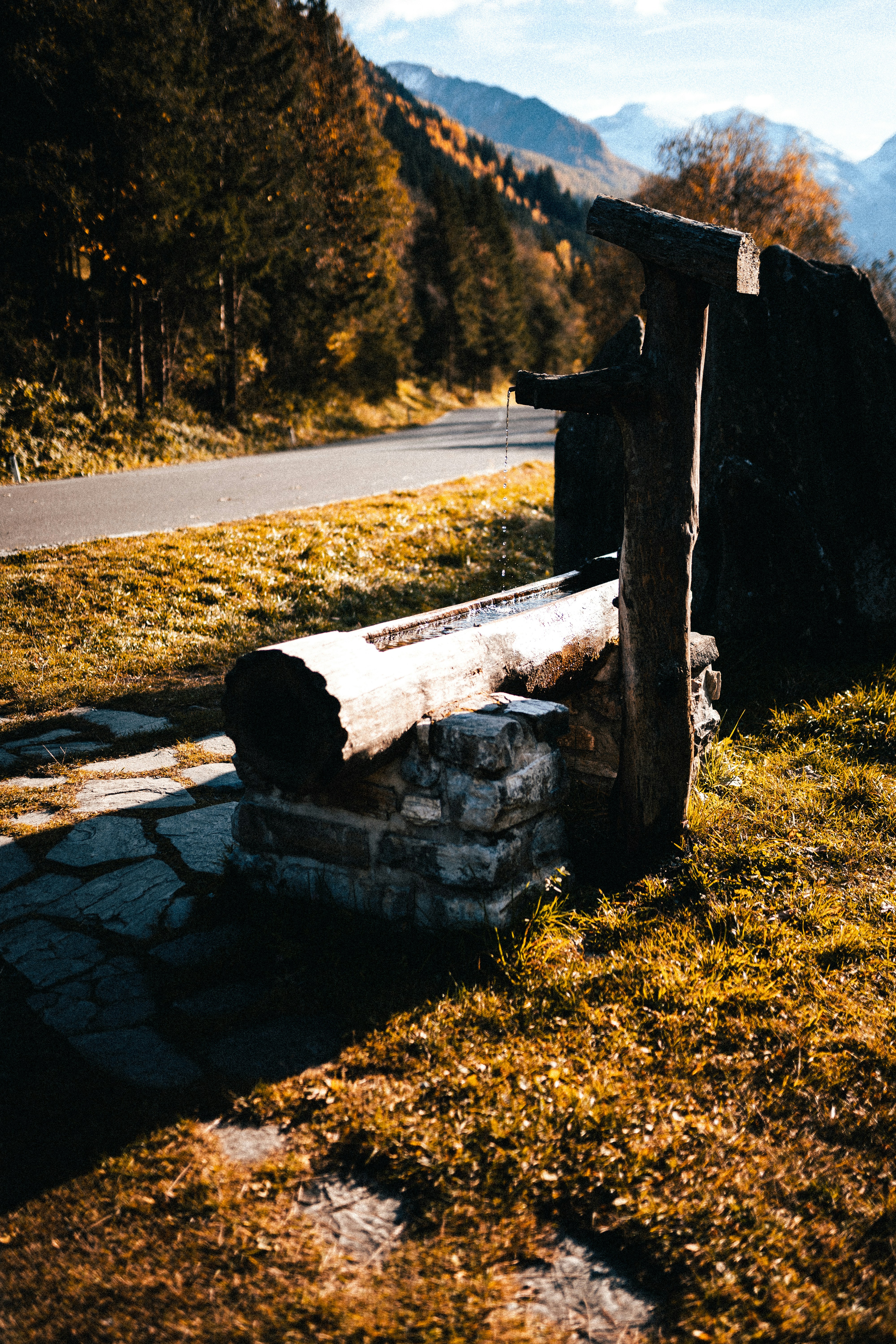 Photo by mauricesahl