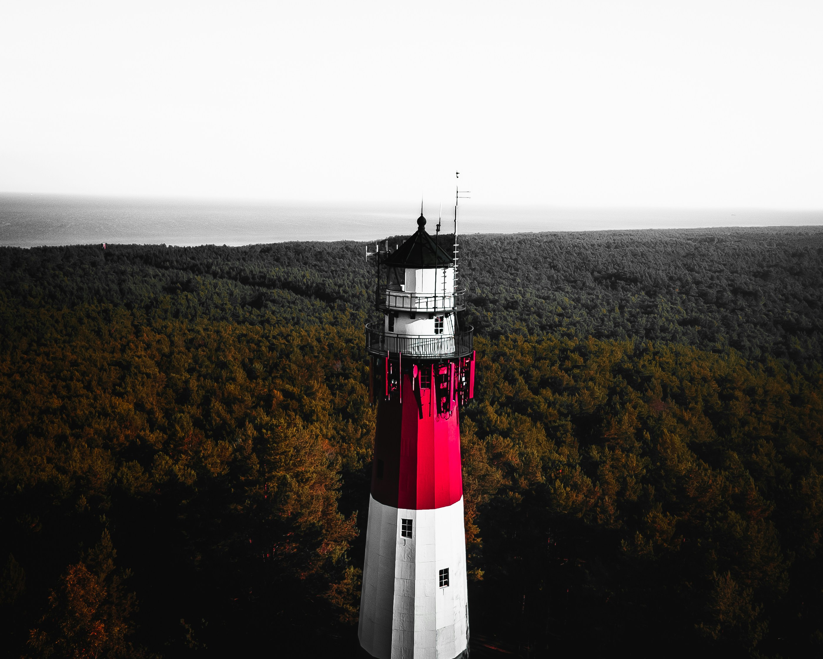 The Lighthouse