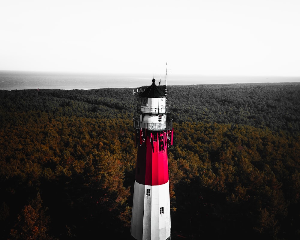 a red and white light house in the middle of a forest