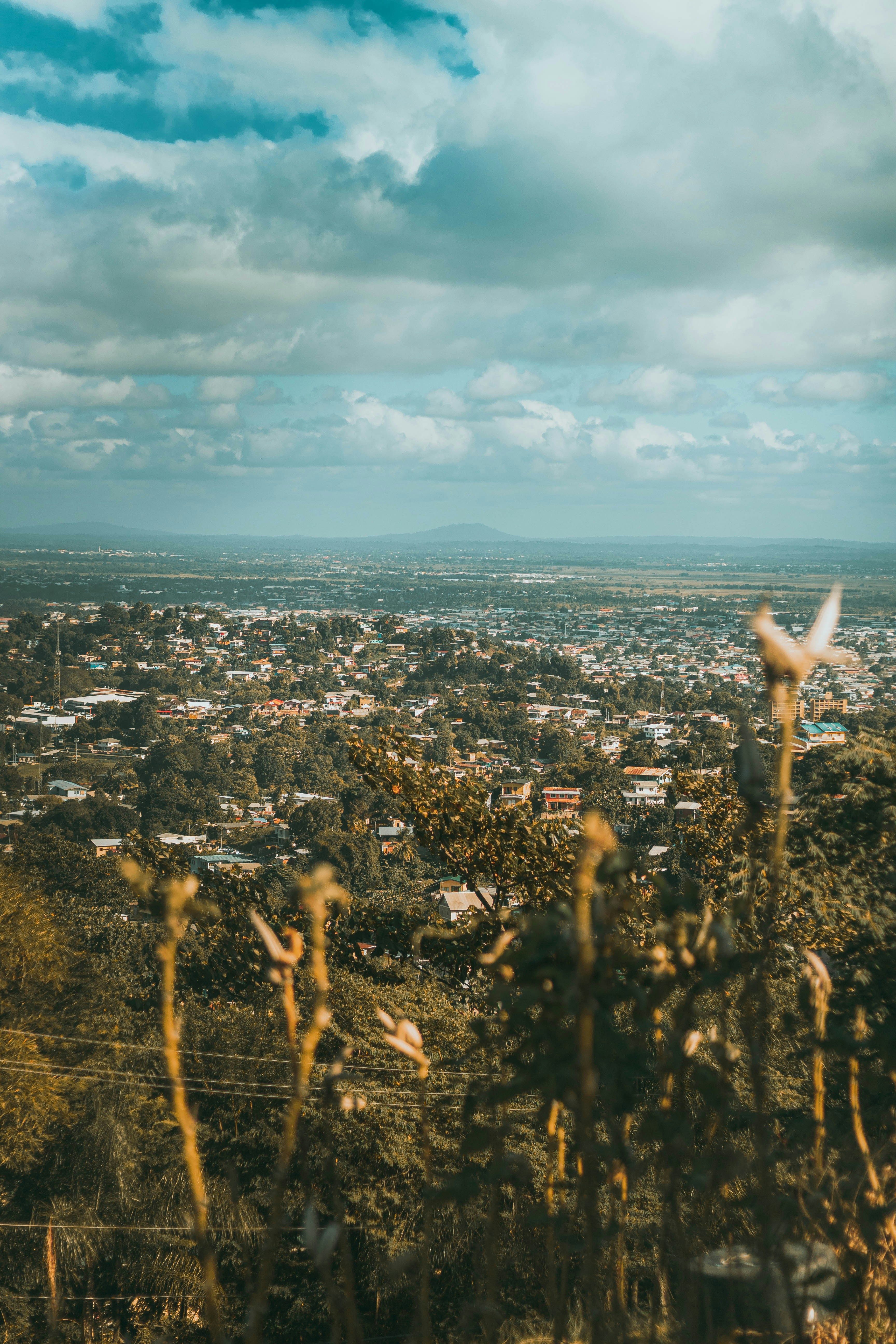 Day 2: Adventure Farm - Hummingbirds & Gardens
