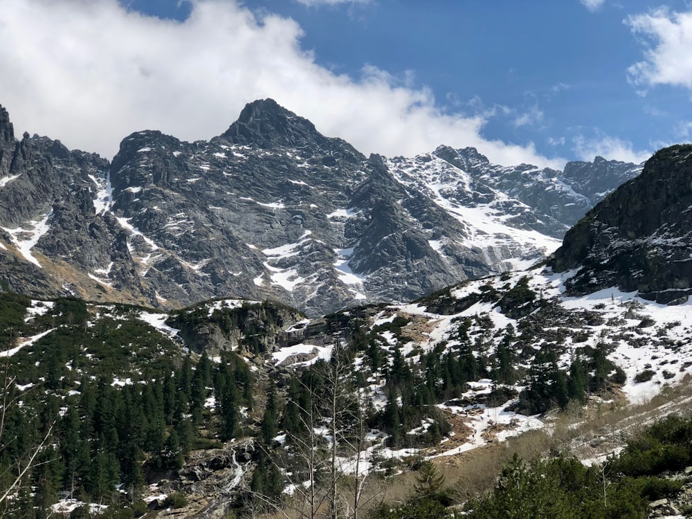 a snow covered mountain range with trees and bushes