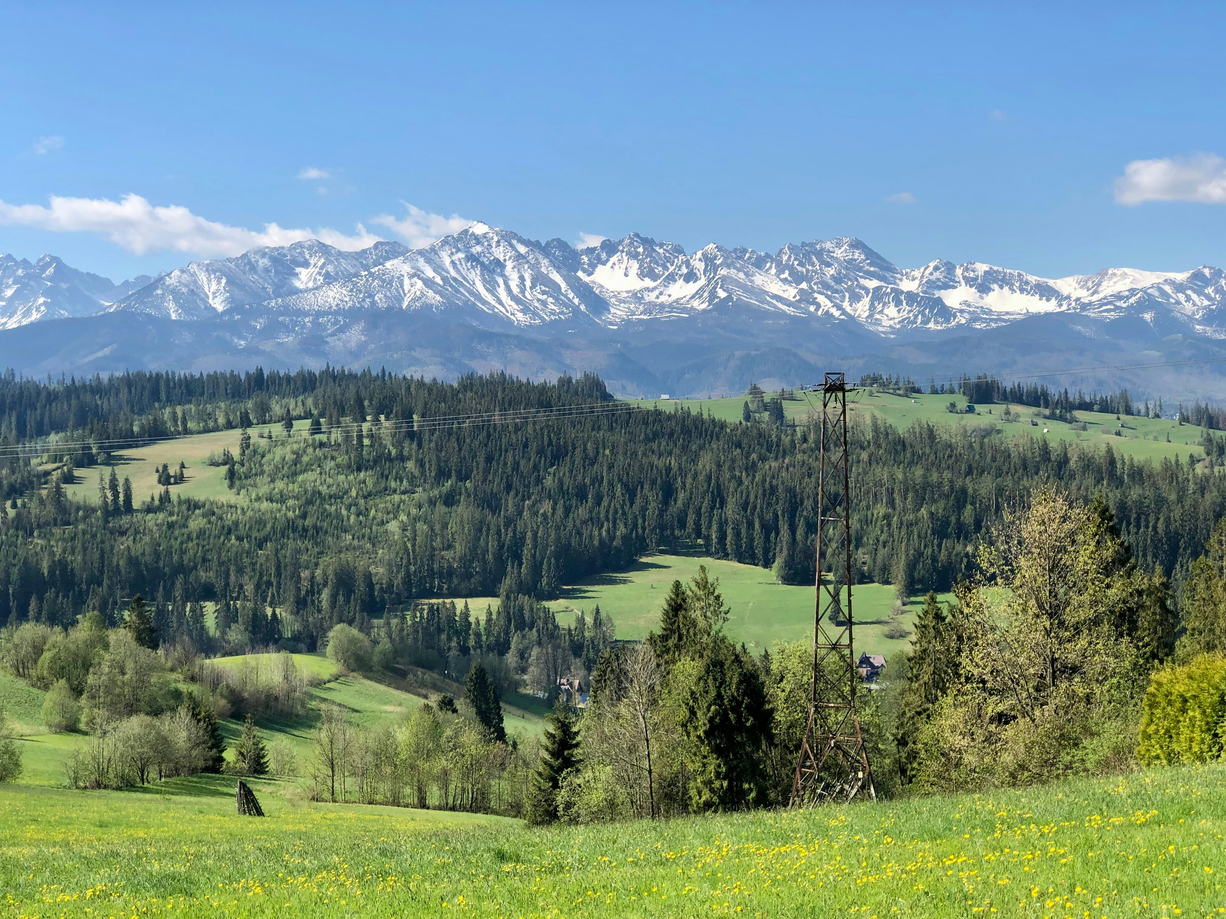 Photo by maksym_harbar