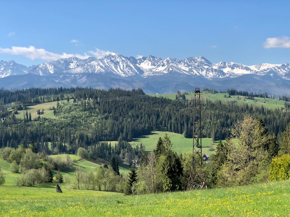 a scenic view of a mountain range with trees and mountains in the background