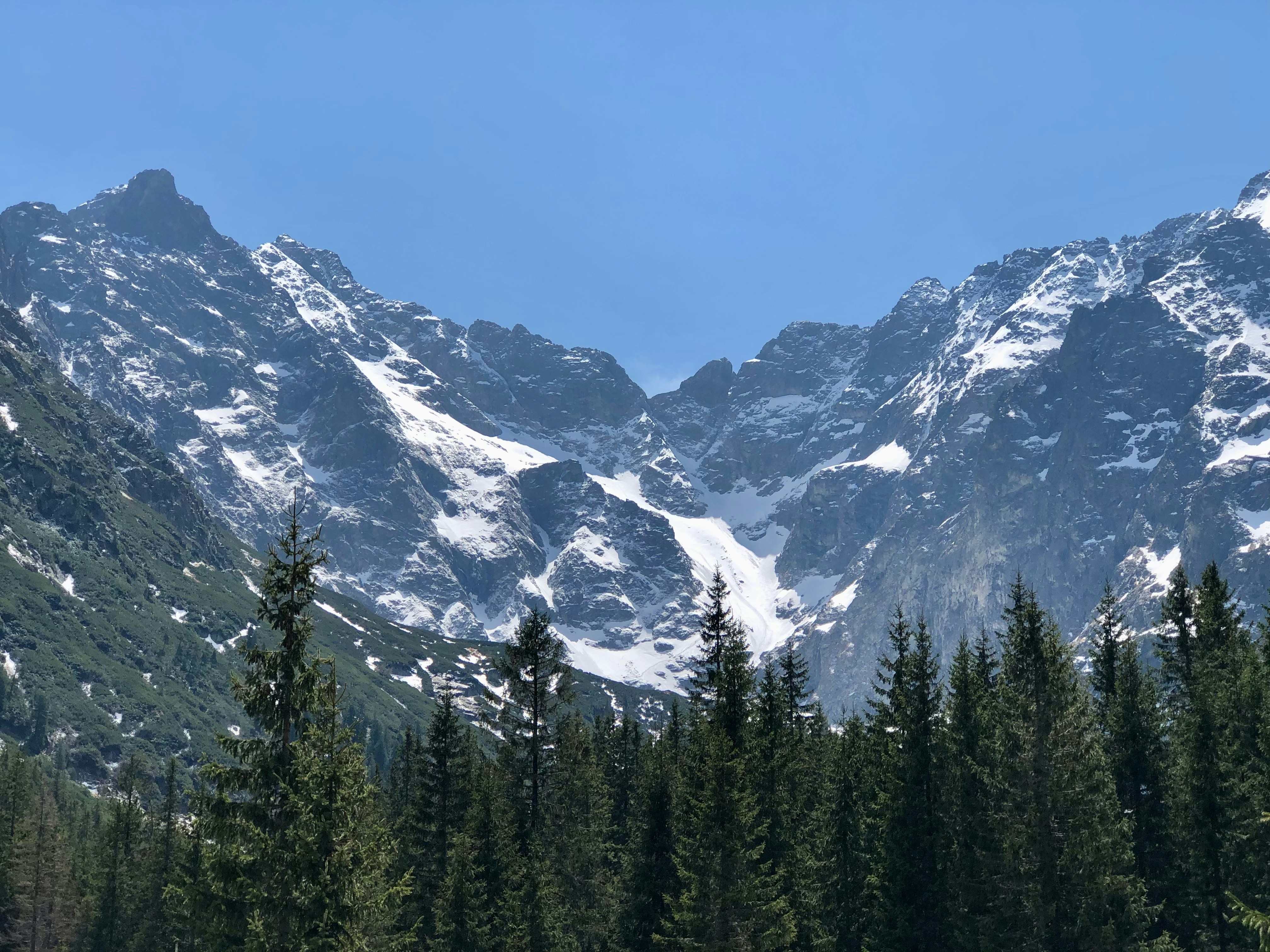 Photo by maksym_harbar