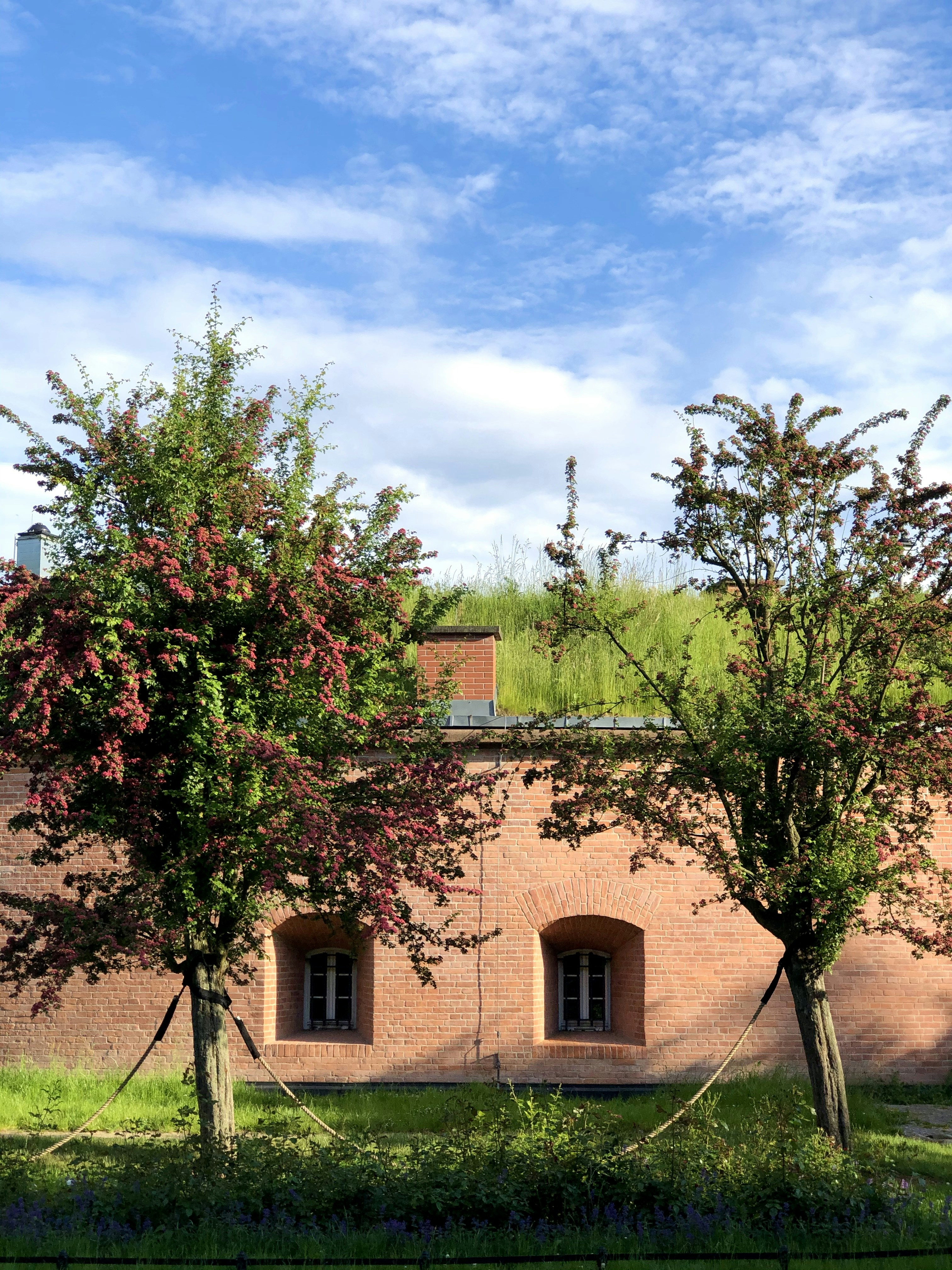 Photo by maksym_harbar