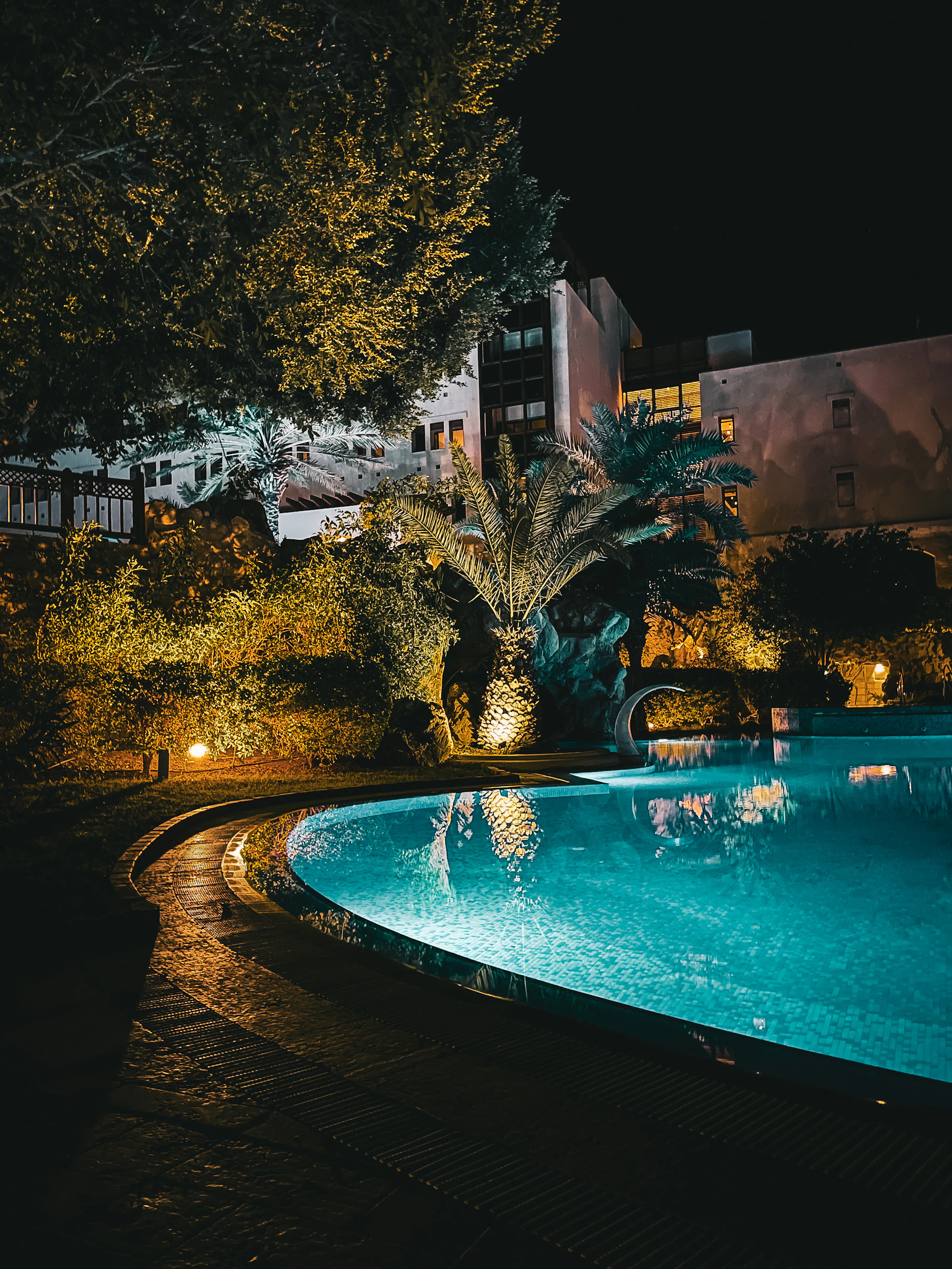 A palm-fringed pool at dusk