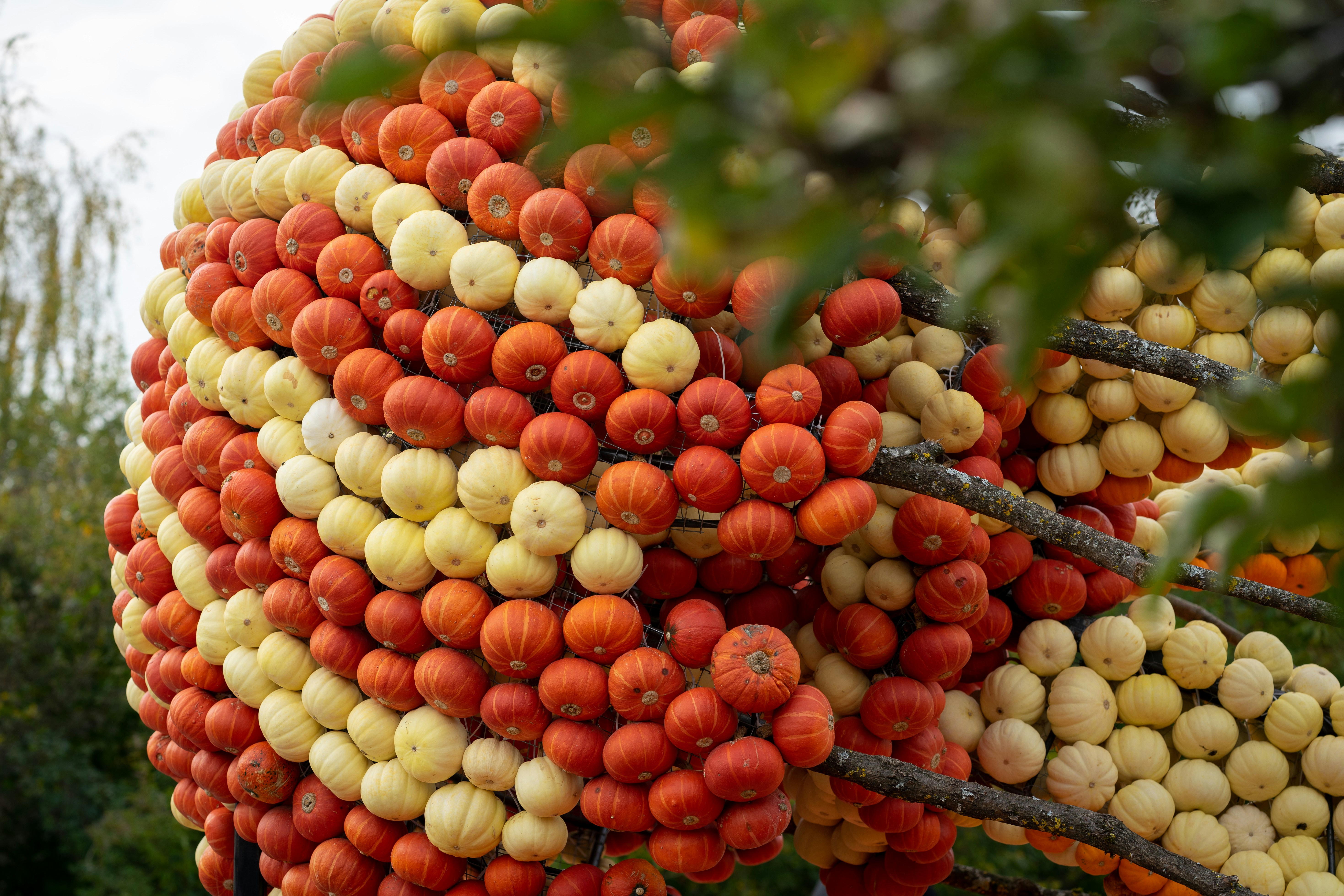 Trump ‘reaping bitter fruit’ of thinking Iran intervention as easy as Venezuela, says former diplomat