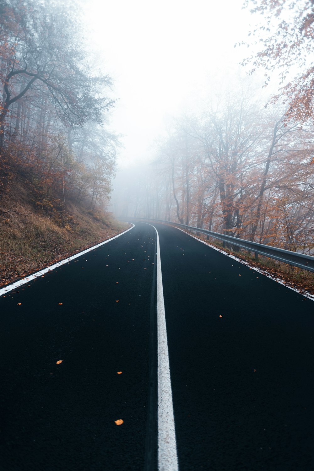 an empty road in the middle of a foggy forest