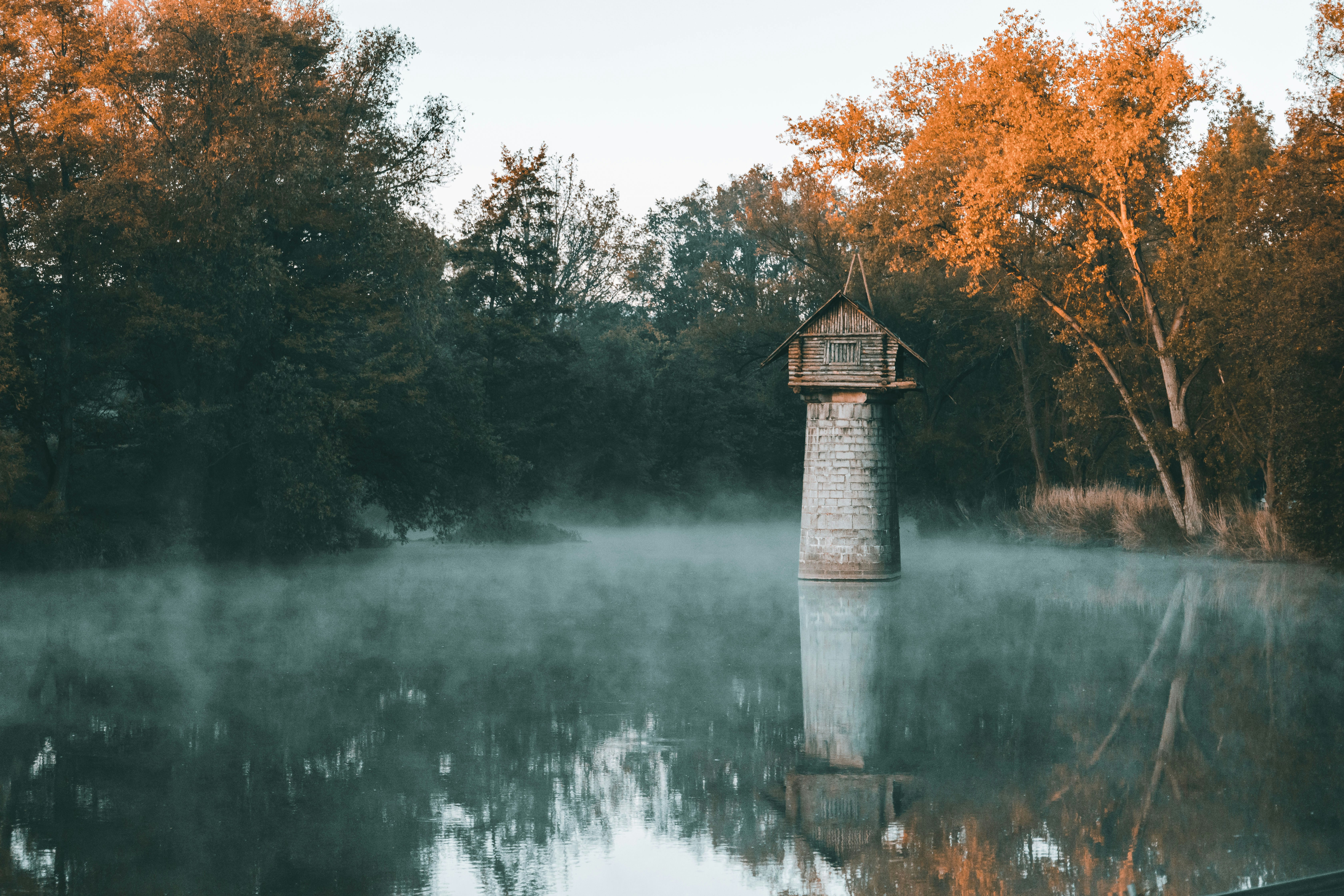 Could a Cholesterol Drug Help Manage MS Symptoms?