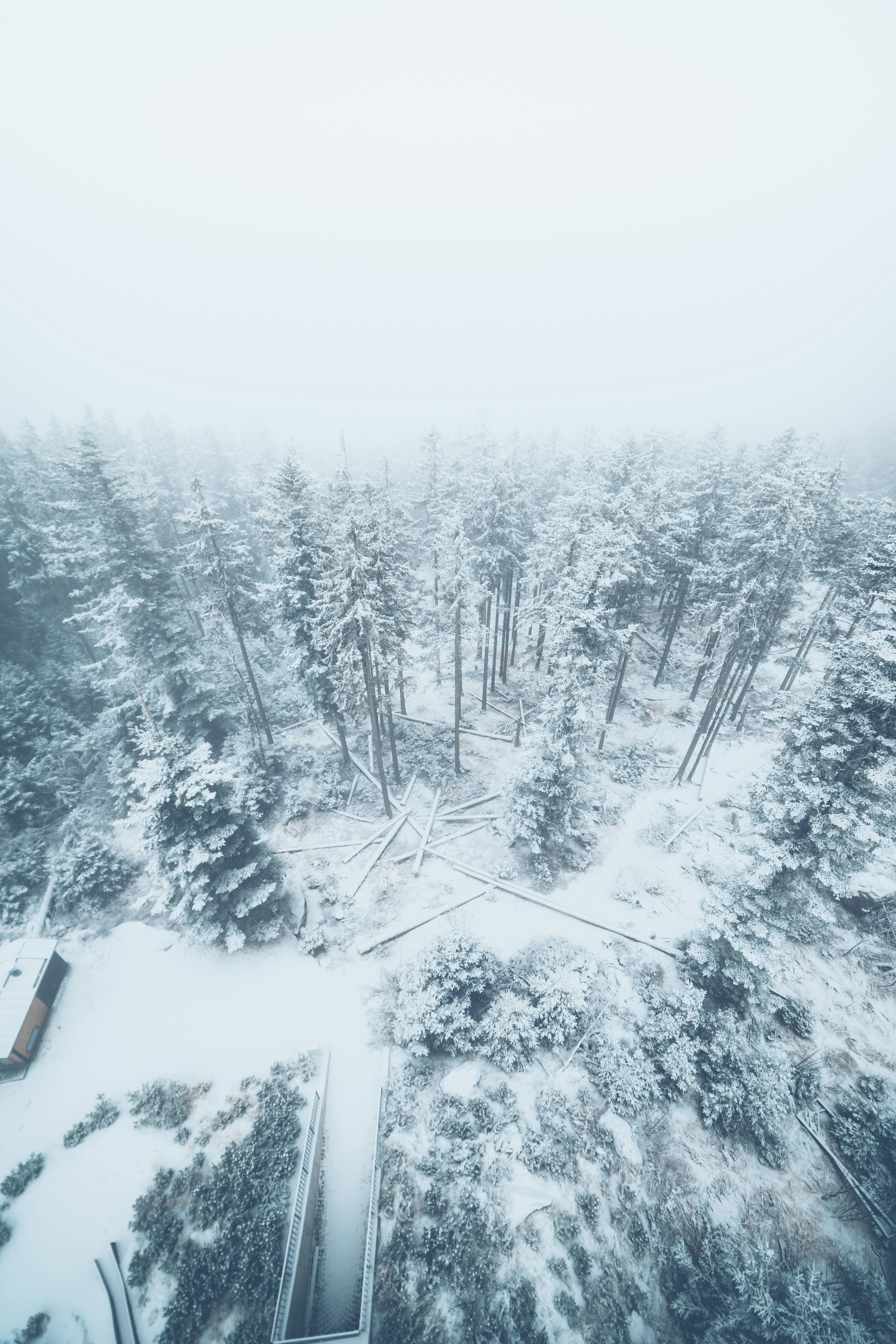 an aerial view of a snow covered forest