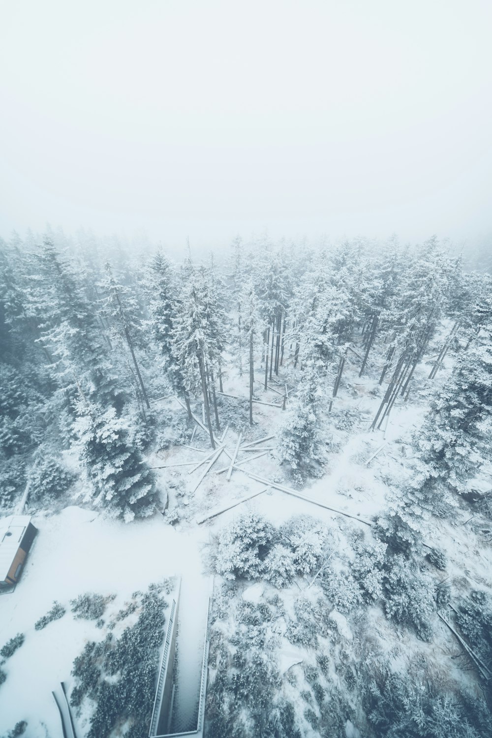 an aerial view of a snow covered forest