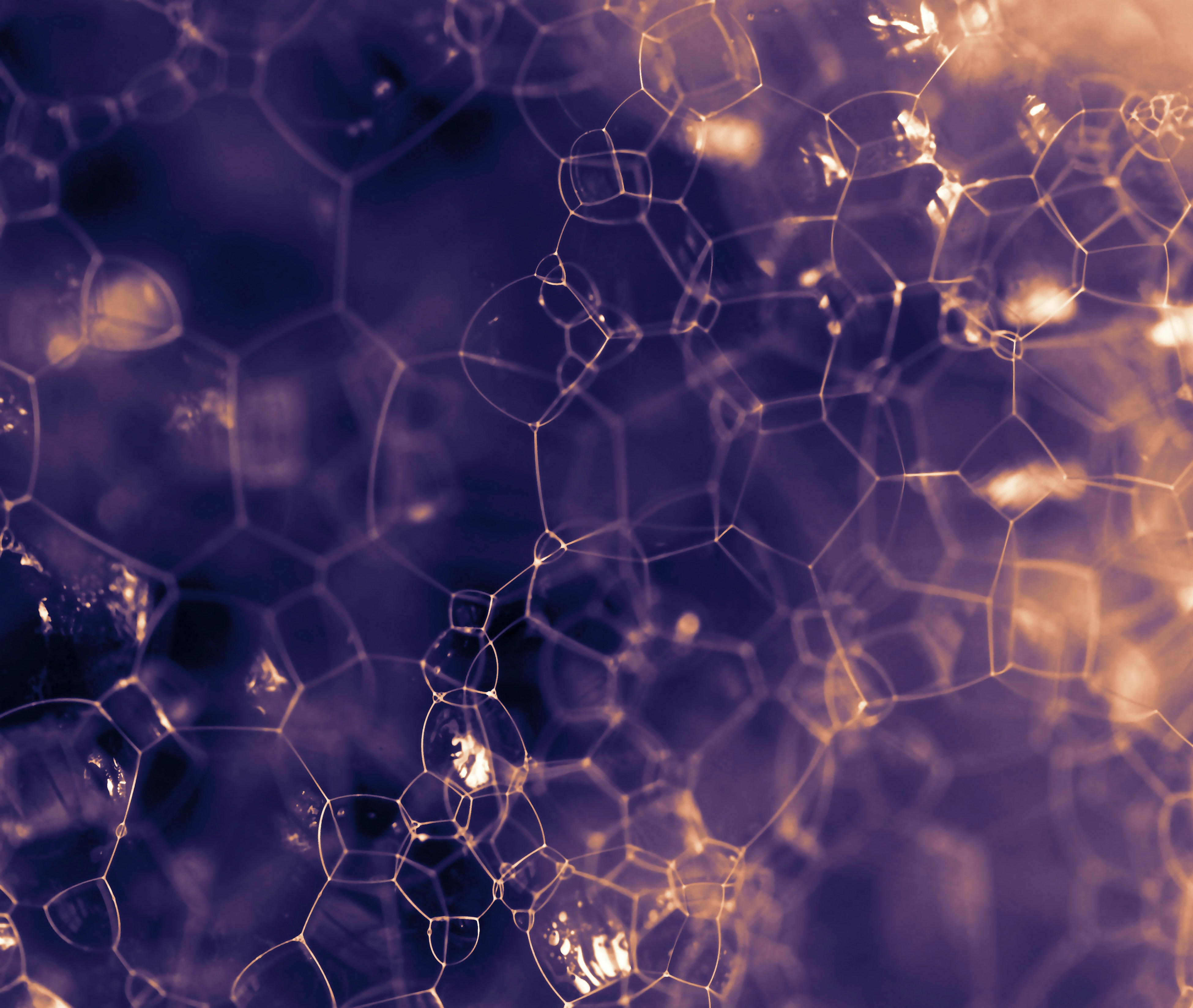 MIT Technology Review Insights and Globant Report: Three quarters of global pharma organizations are piloting or deploying agentic AI