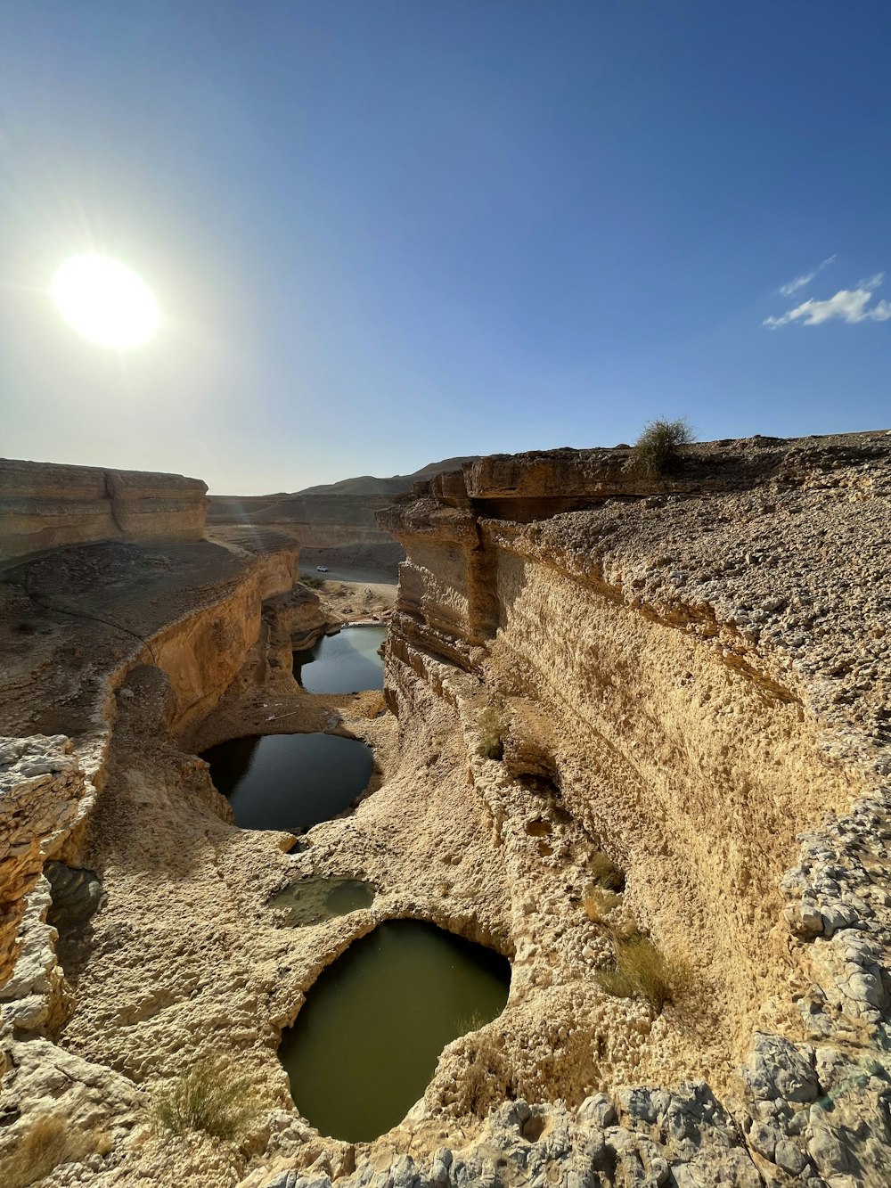 El sol brilla sobre un pequeño charco de agua