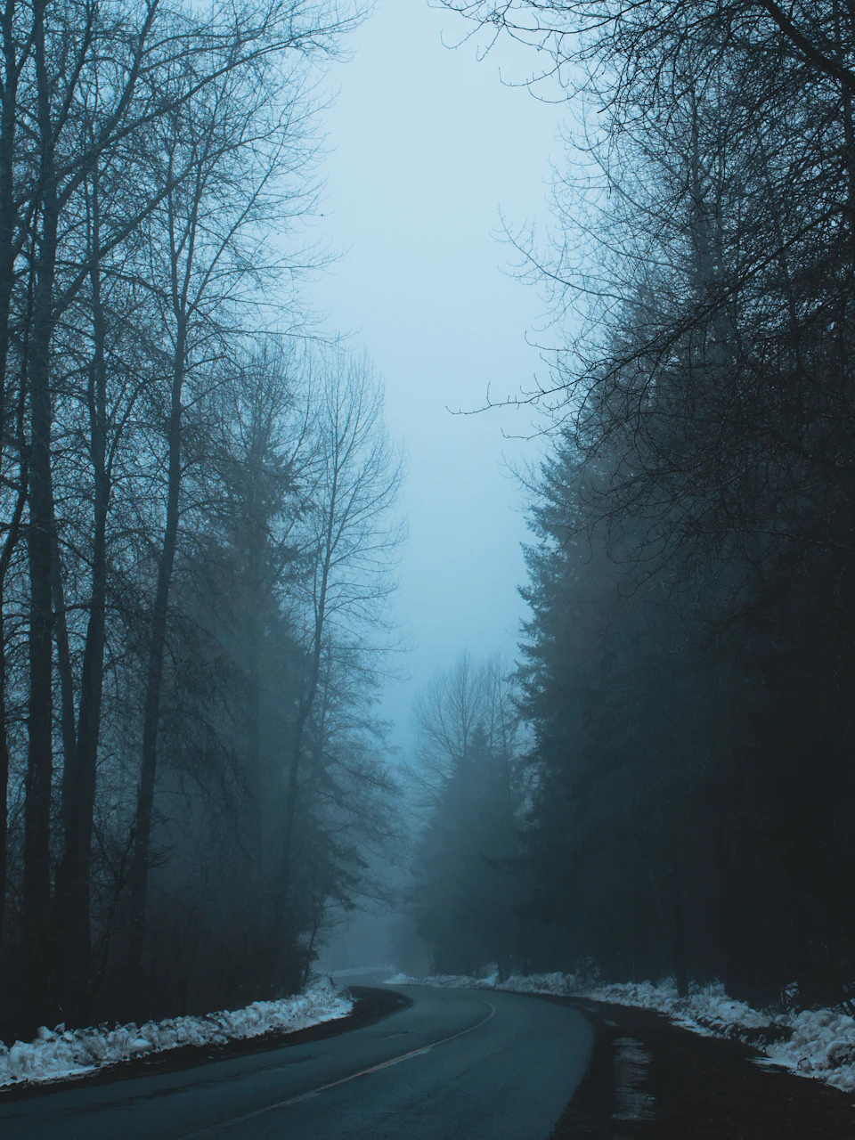 Dark forest road under foggy conditions with bare trees and snow-covered ground