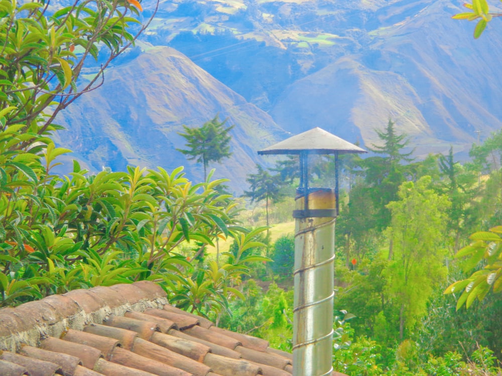 a bird feeder sitting on top of a roof
