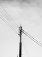 a black and white photo of power lines and telephone poles