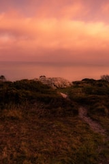 A serene landscape representing the journey of self-discovery through astrology.