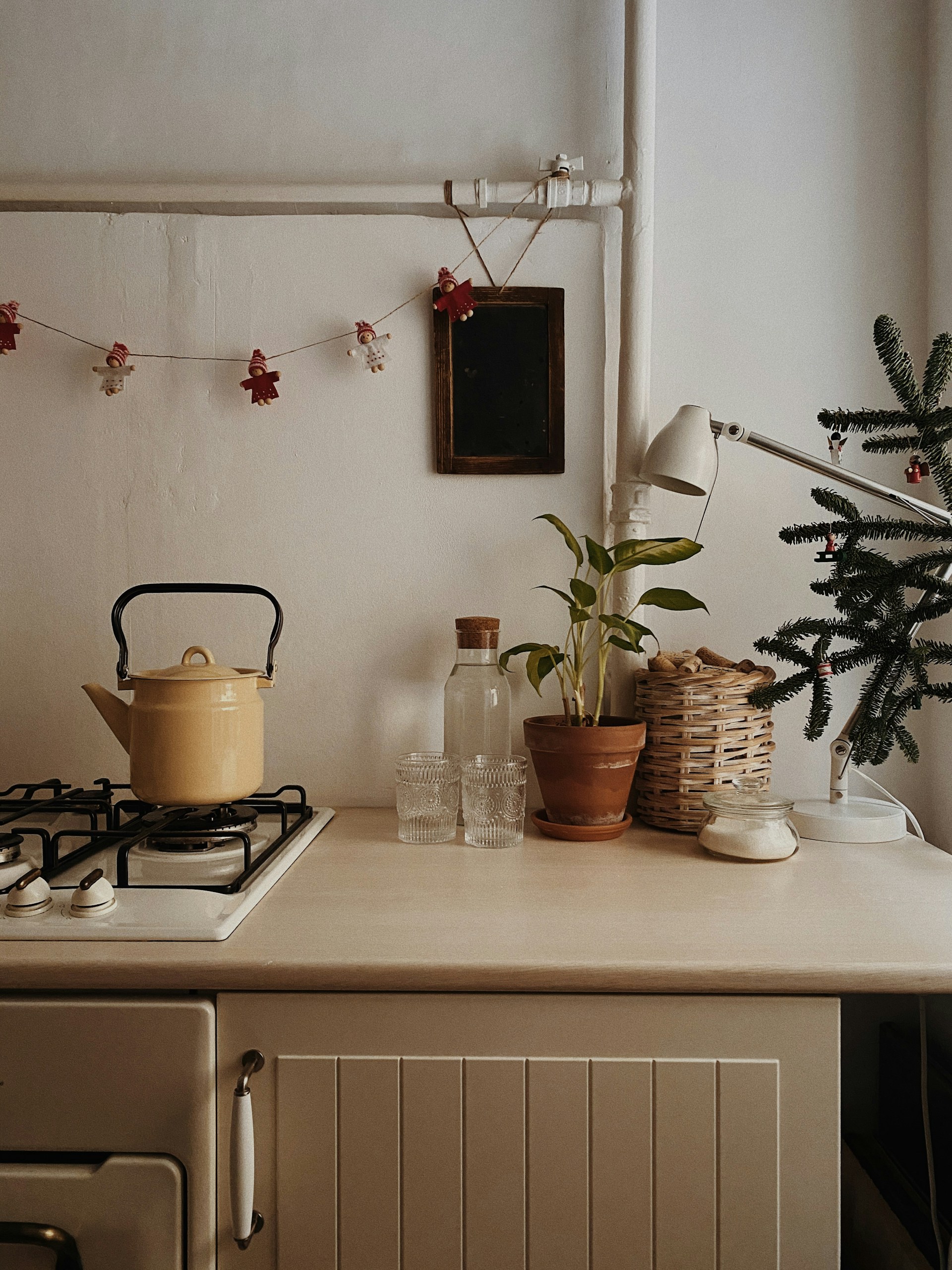 a stove top oven sitting next to a potted plant