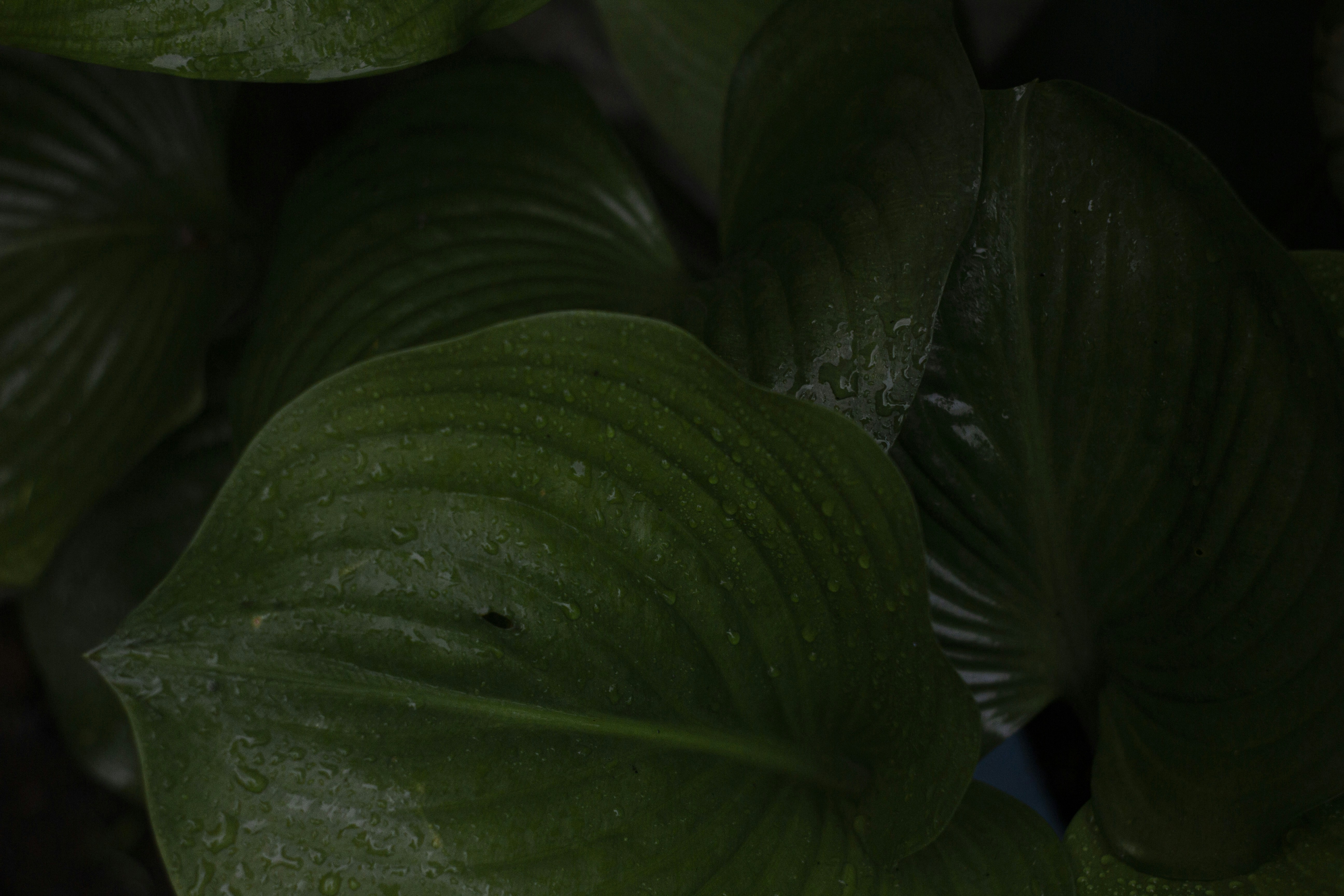 Photo by ilhamabitama