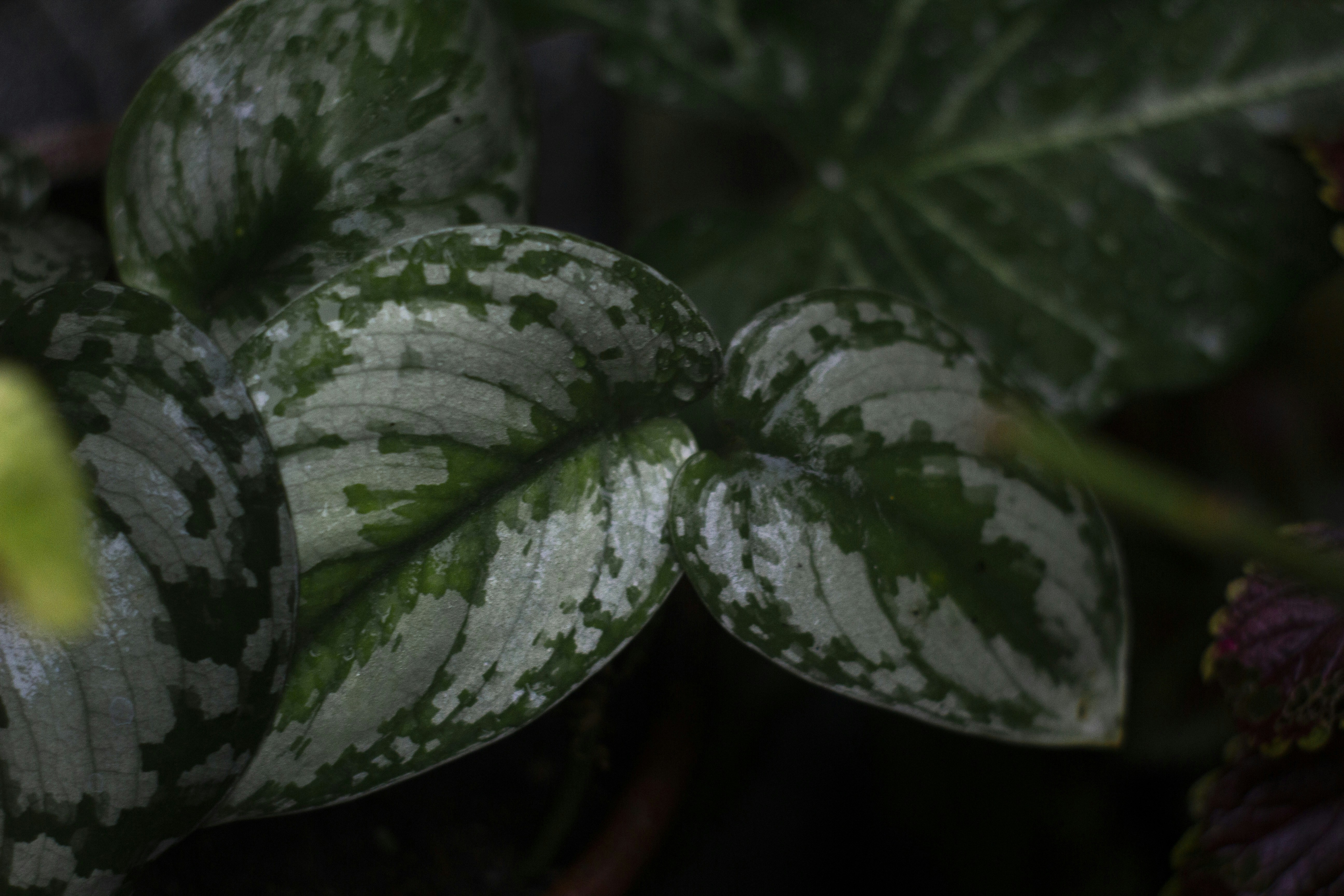 Photo by ilhamabitama