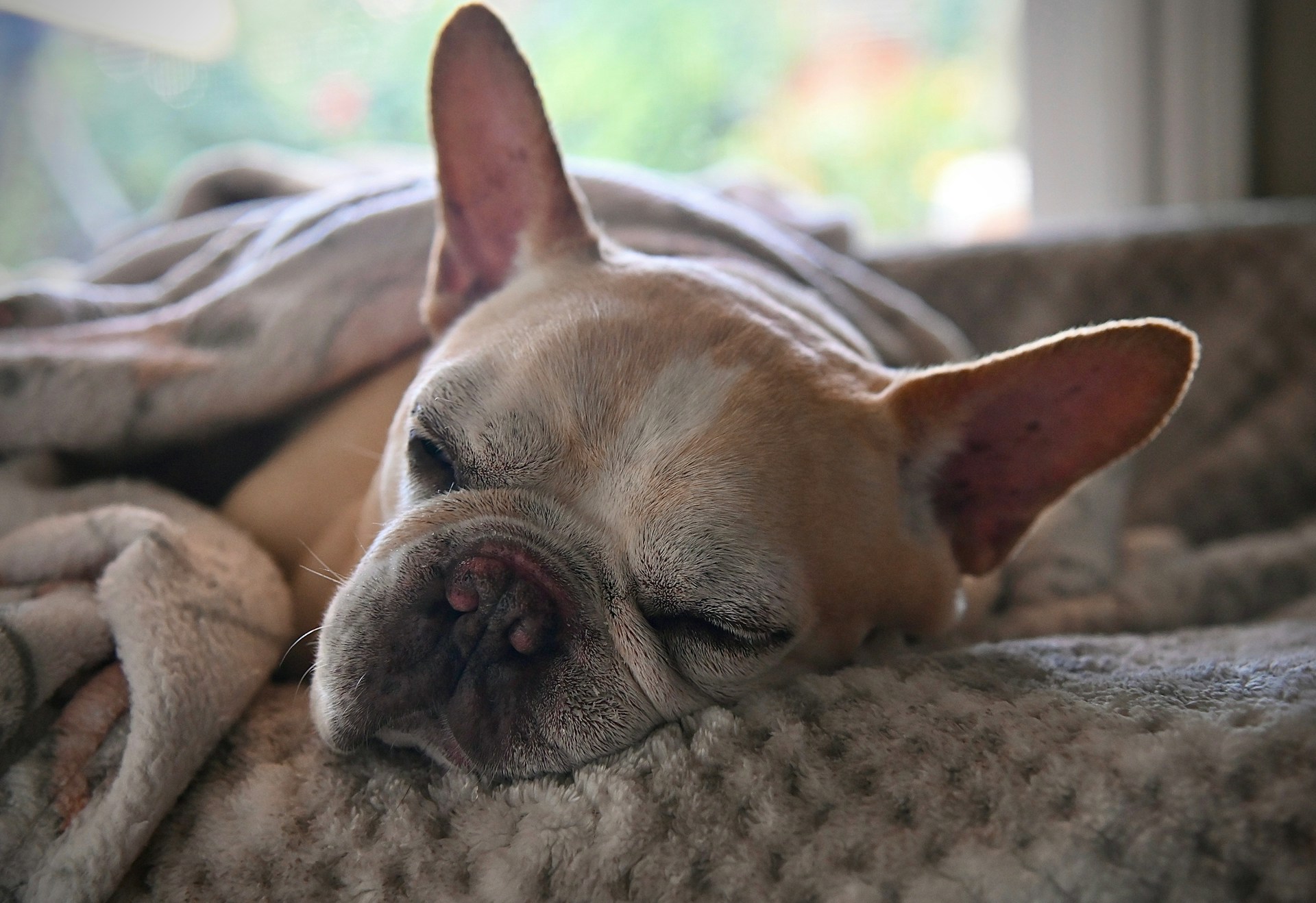 woman wearing yellow long-sleeved dress under white clouds and blue sky during daytime