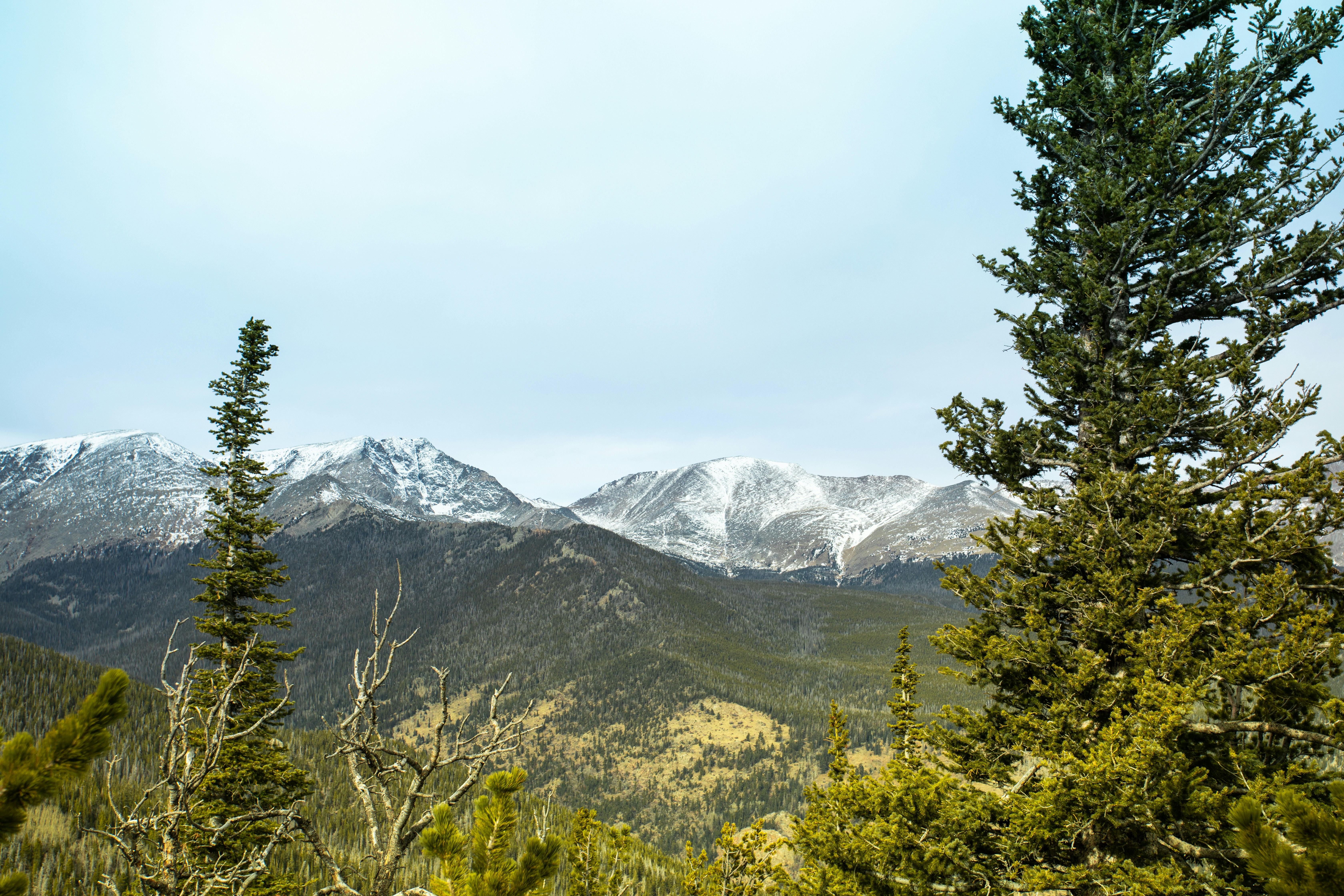 Photo by photosoflogan