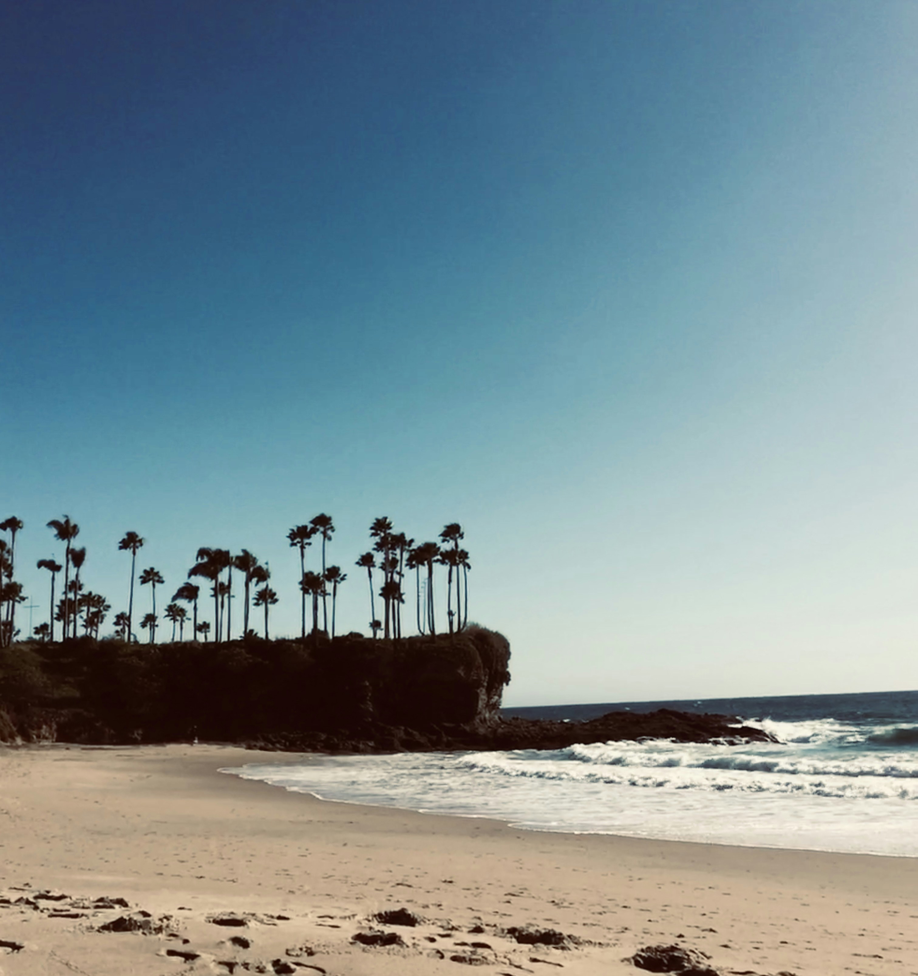Photo by bradlirbrown
