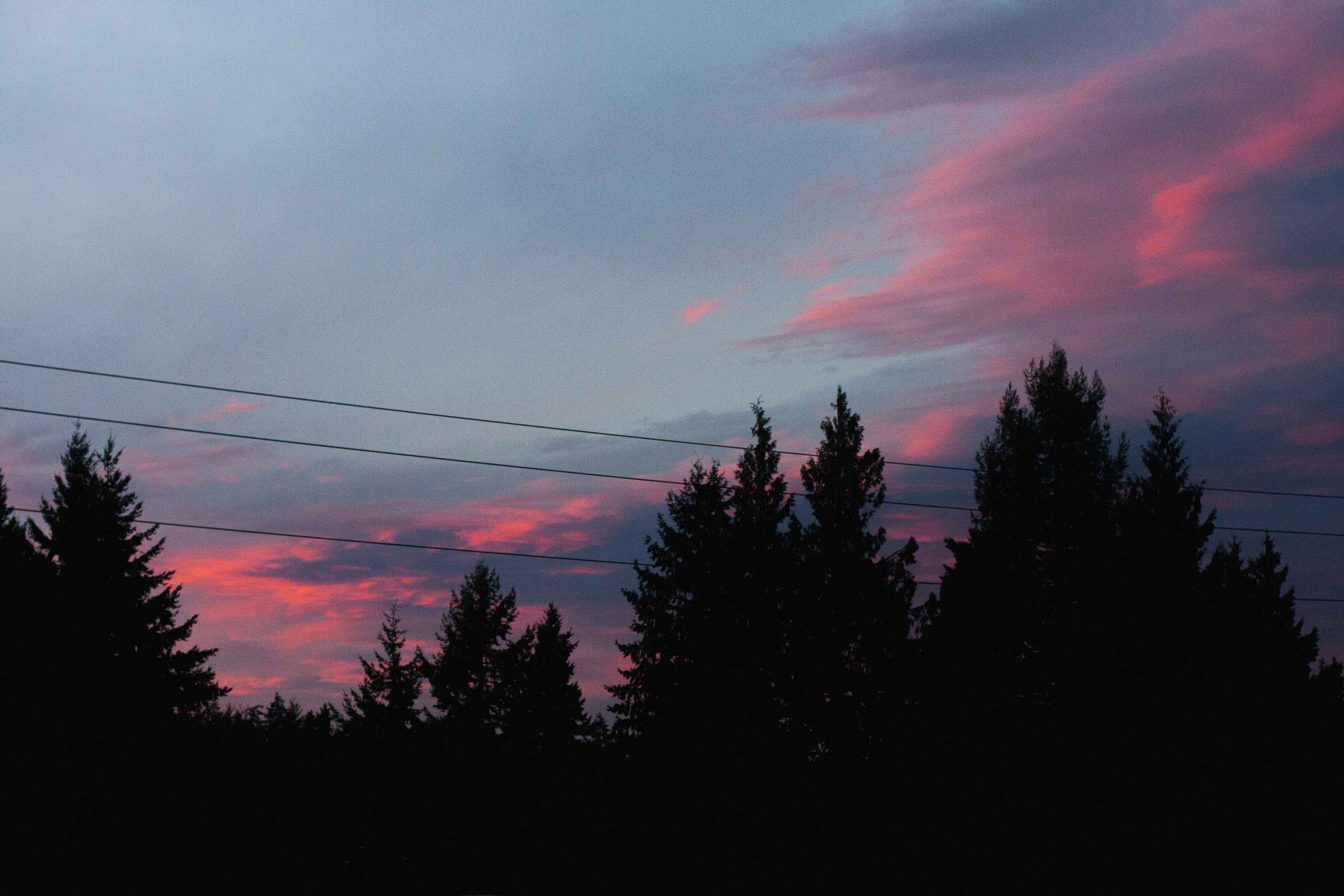 Photo by davidschultz