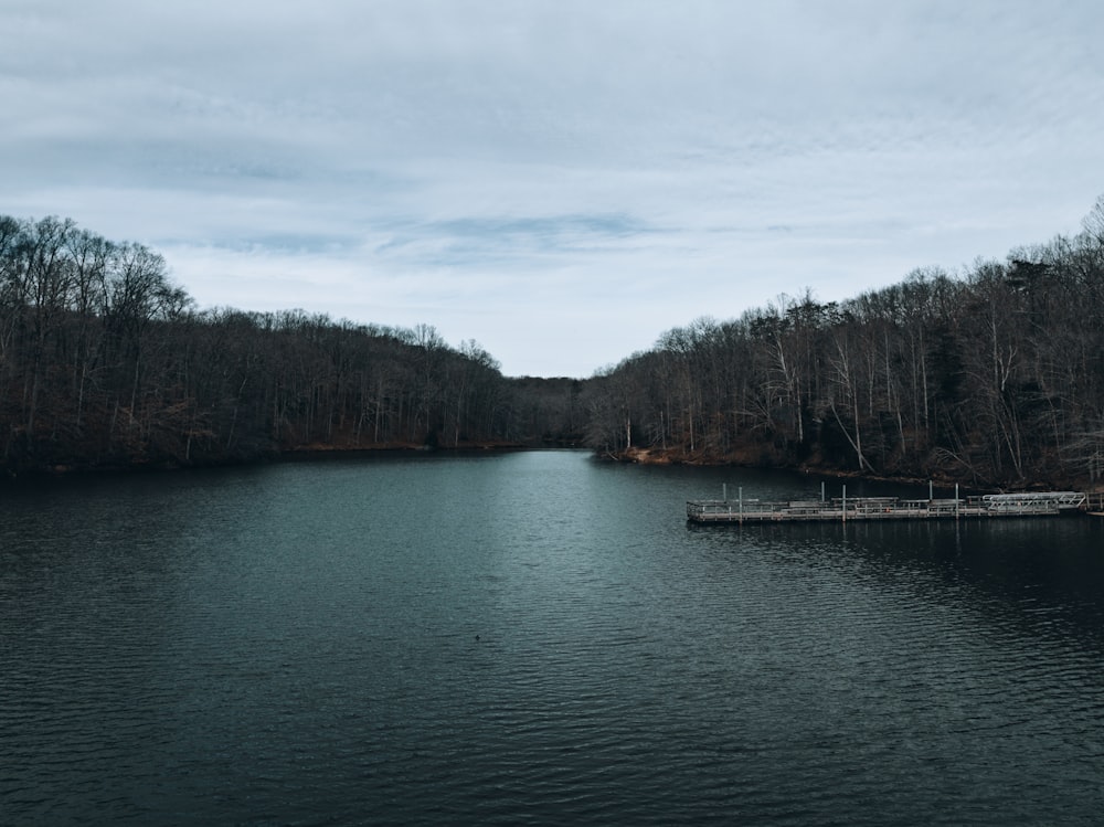 a large body of water surrounded by trees