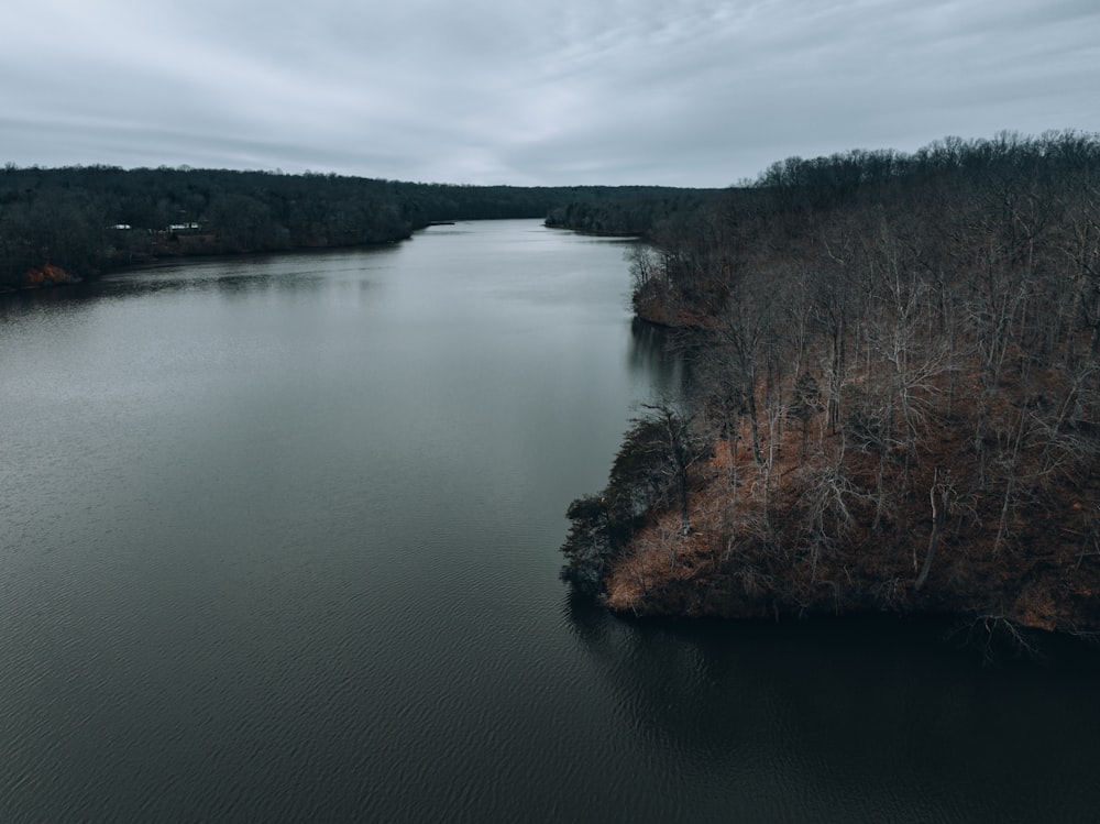 a large body of water surrounded by trees