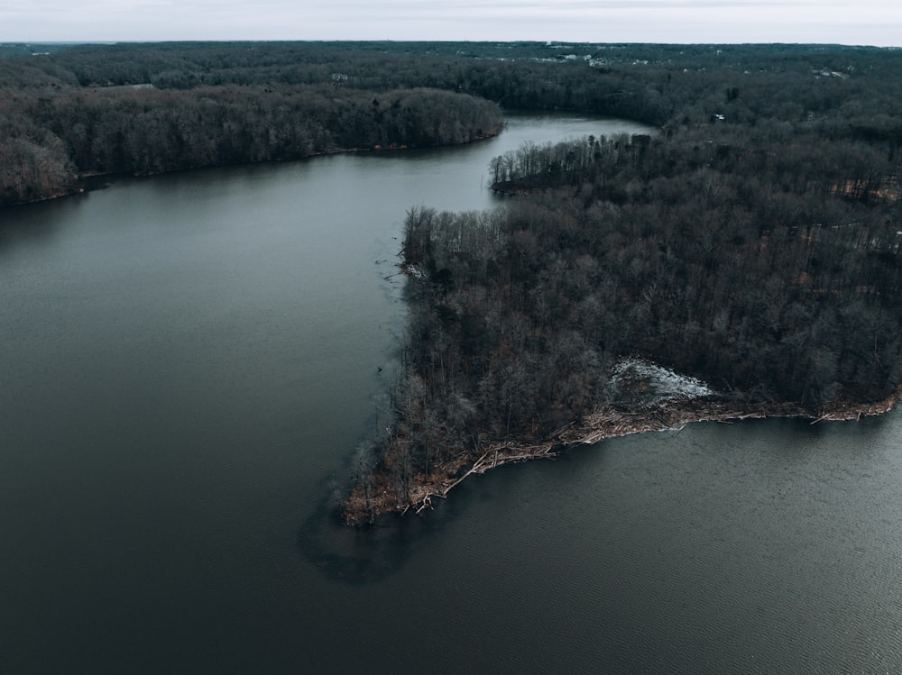 a large body of water surrounded by trees