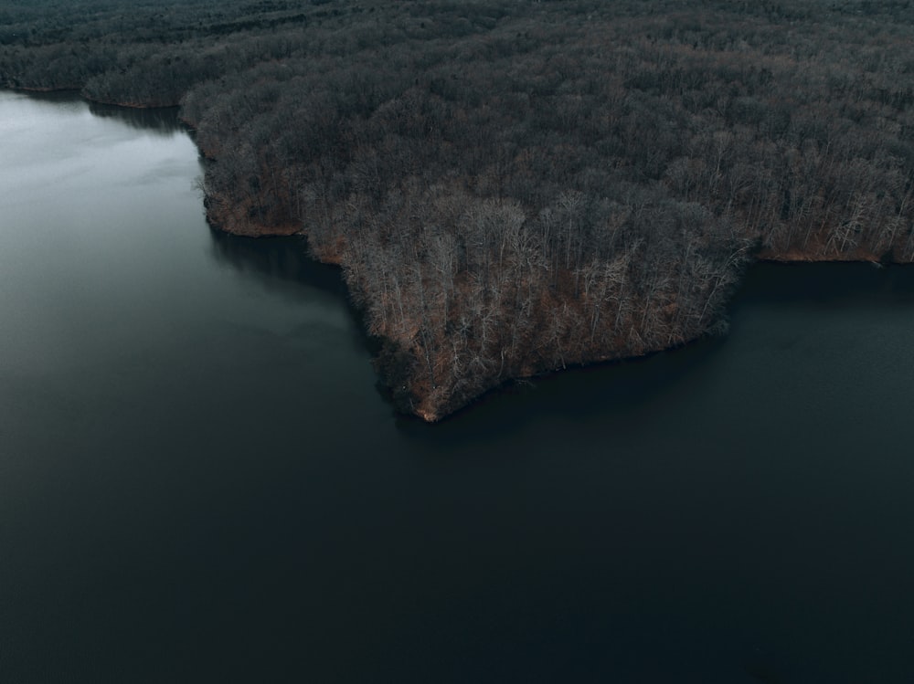 a large body of water surrounded by trees