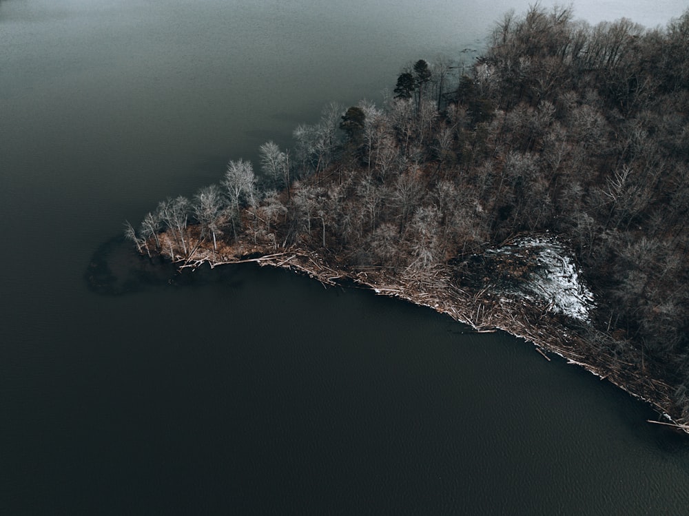 a large body of water surrounded by trees