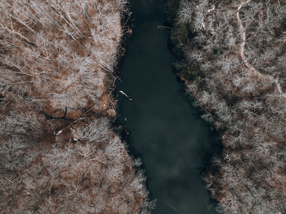 a river running through a forest covered in snow