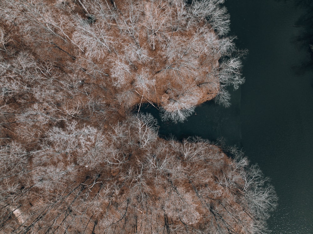 an aerial view of a river surrounded by trees