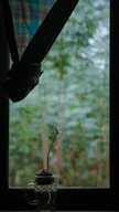 a window with a plant in it and a curtain in front of it