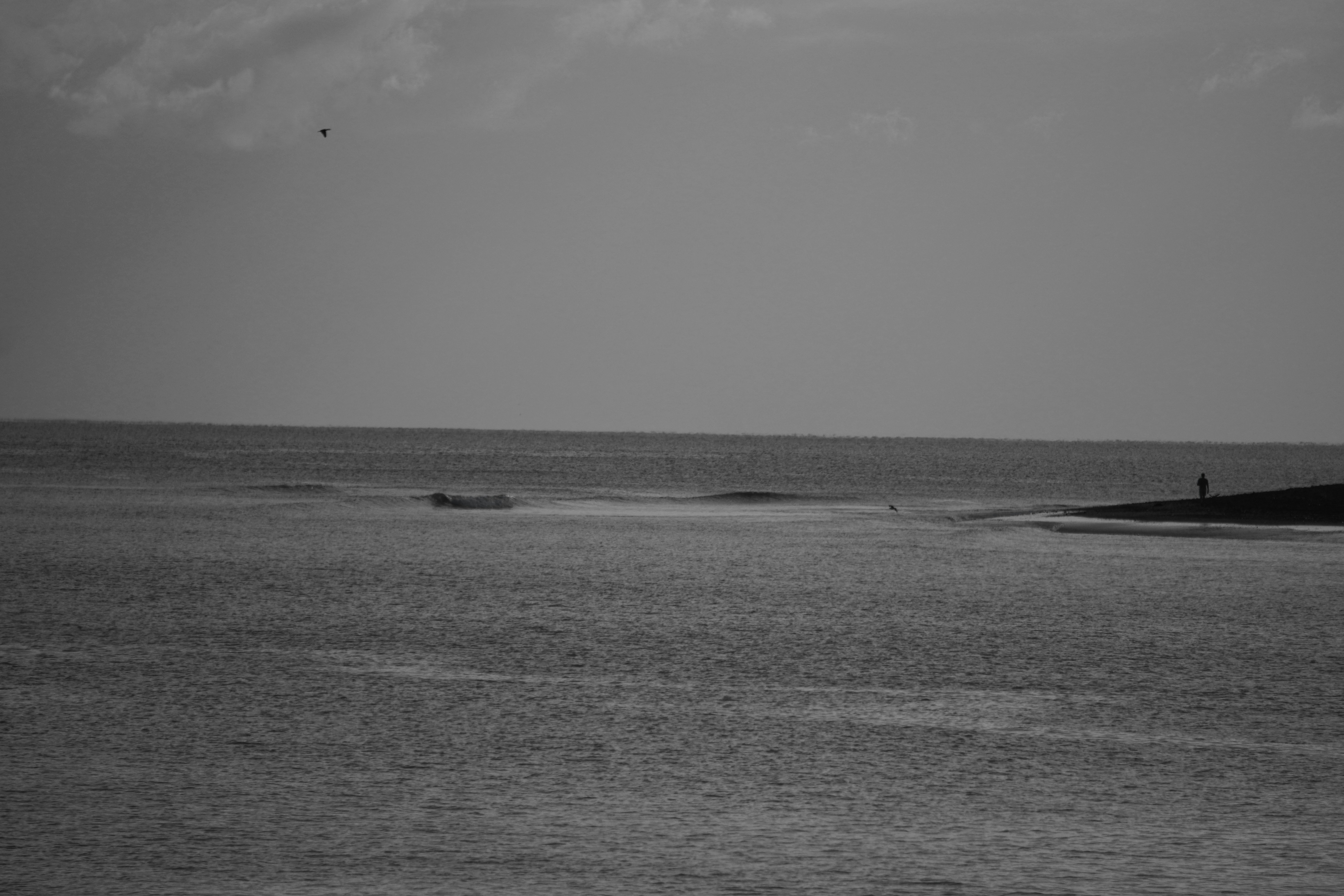 Photo by rubemdemarchi