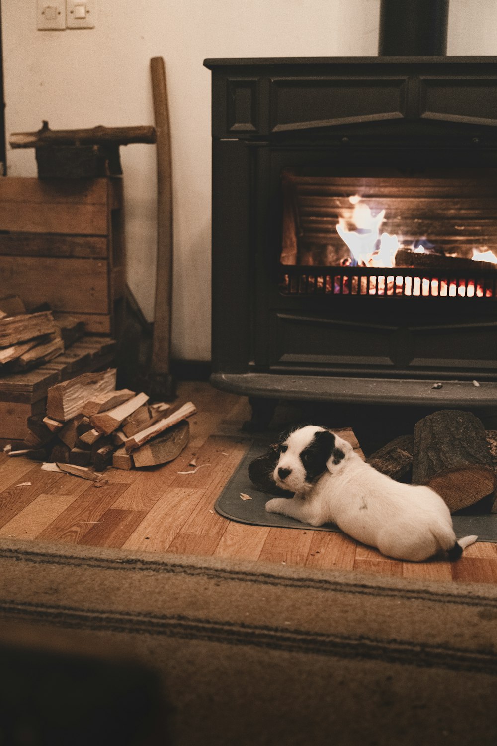 a dog laying on a mat in front of a fireplace
