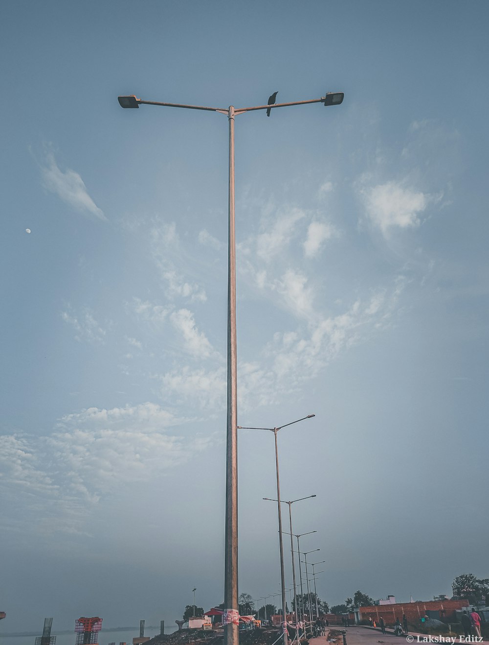 a pole with two birds sitting on top of it