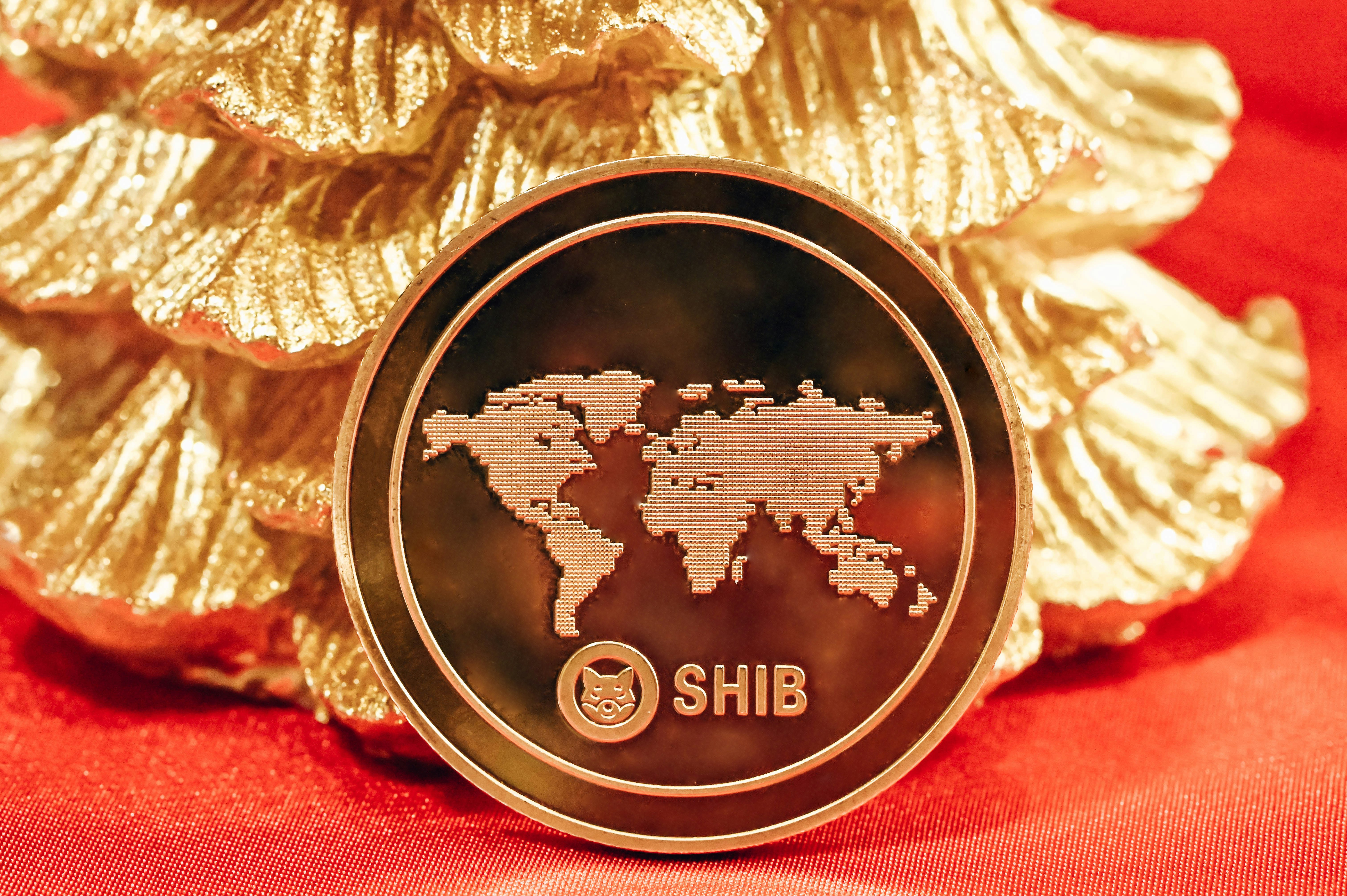 A single SHIB coin stands on red fabric