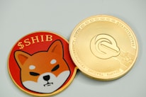A close-up view of two coins placed side by side. The left coin features a cartoon Shiba Inu dog in orange with the word '$SHIB' on a red background. The right coin appears to have intricate engravings with the design resembling a digital currency, featuring the words 'QUANTITATIVE' and 'CRYPTOCURRENCY TOKEN'. Both coins have a reflective, gold-colored border.