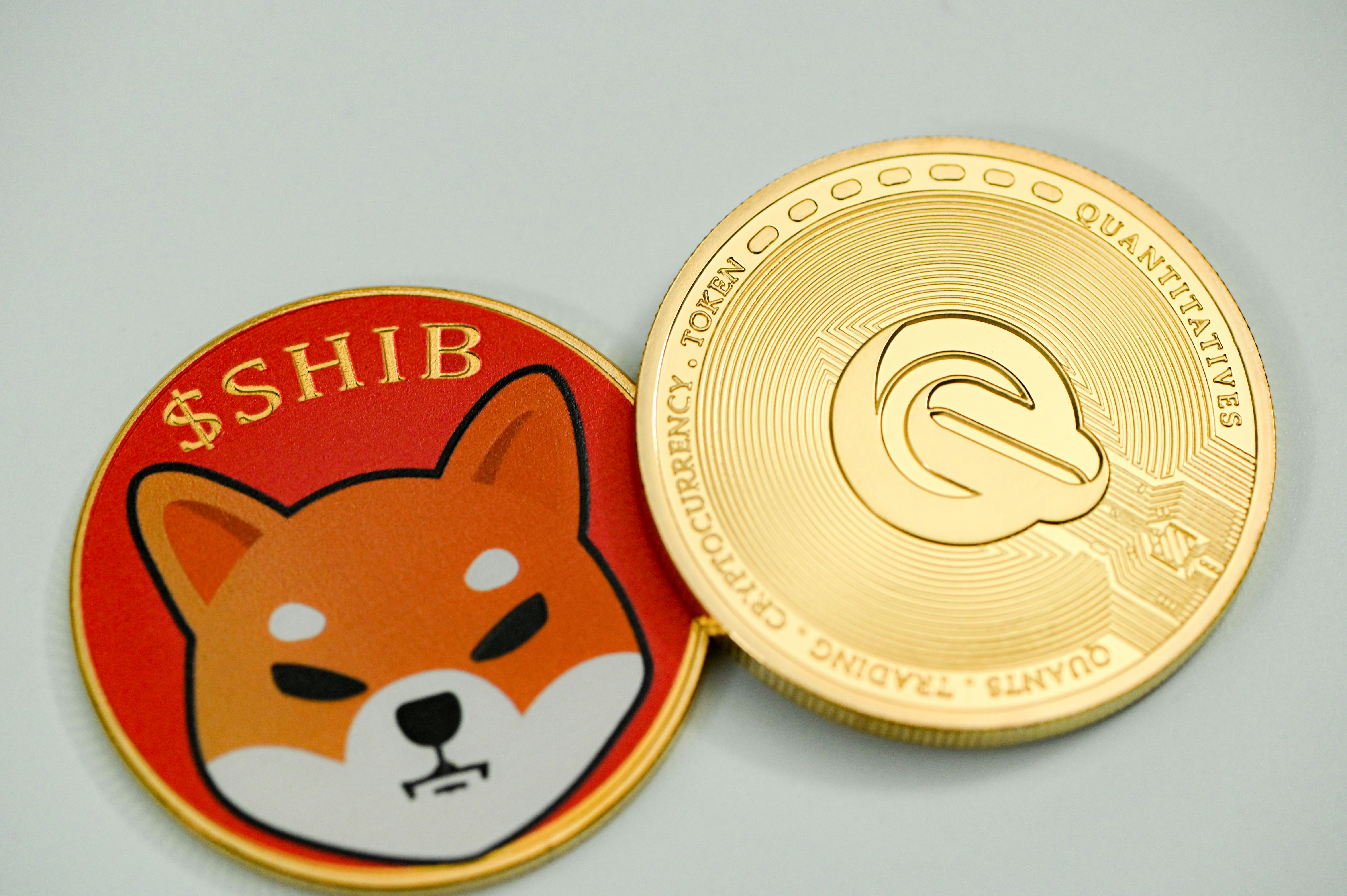 SHIB coin and QEST coin placed on a white background